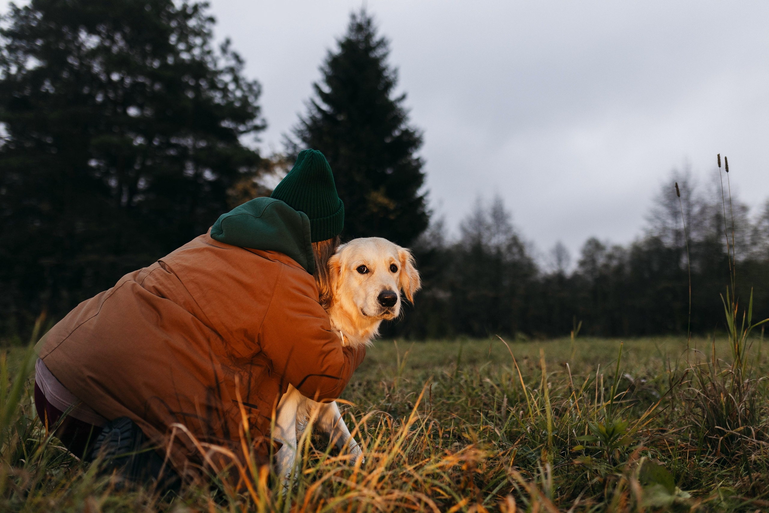 Dogcamp / Полина и Миша. Фотограф Кузина Вера