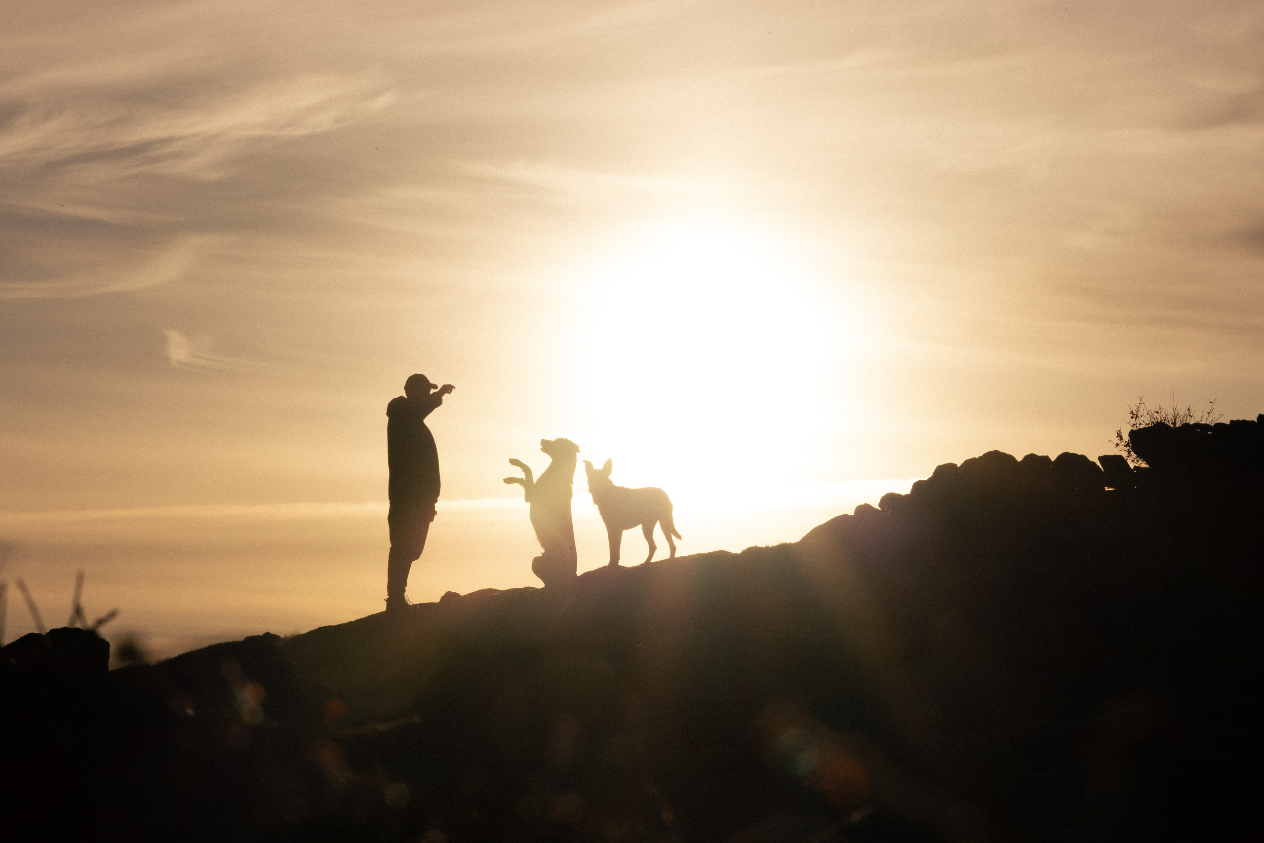 Кольский. Фотограф и видеограф анималист Аганина Дарья