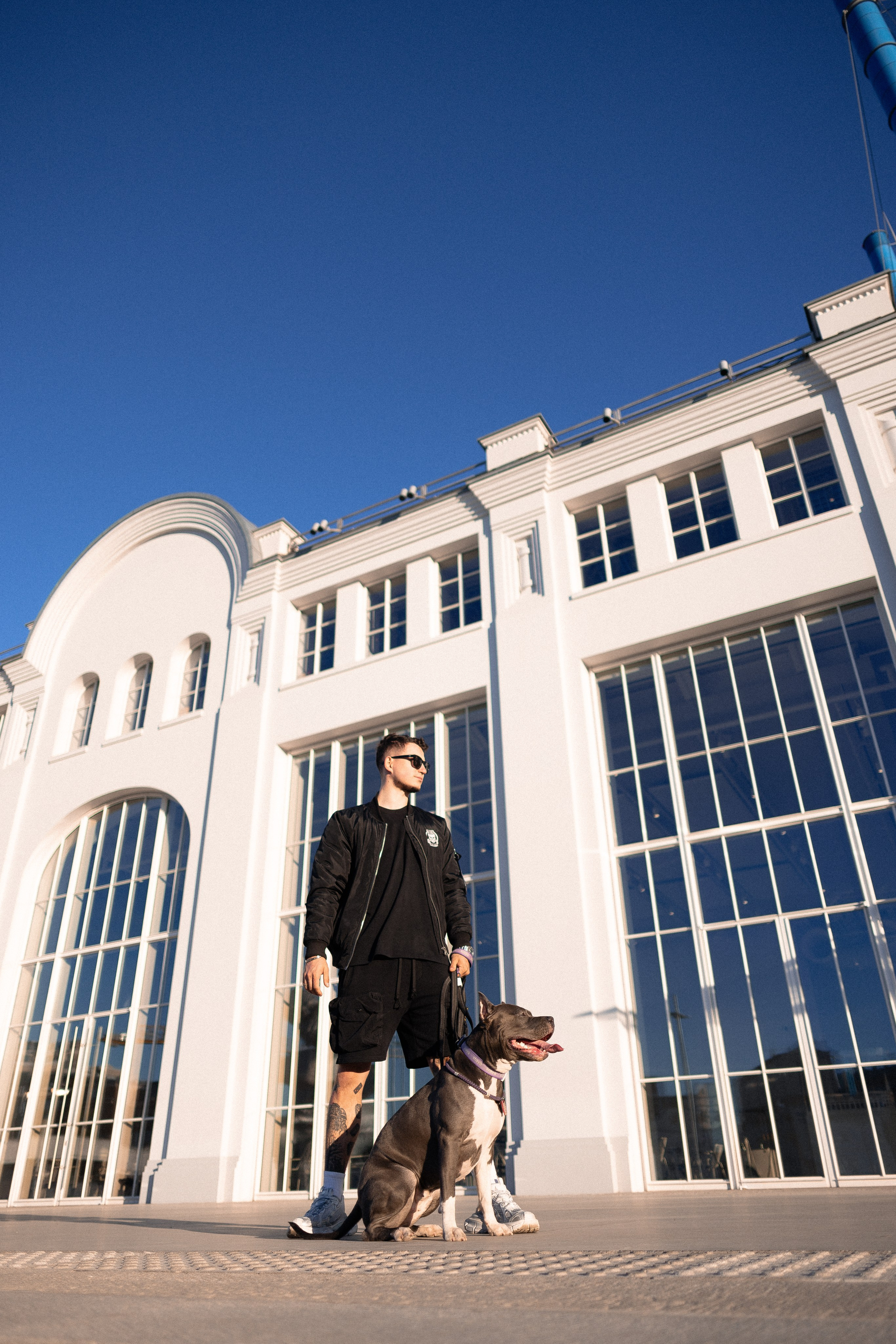 Катя, Леша, Трой и Лея. Фотограф и видеограф анималист Аганина Дарья