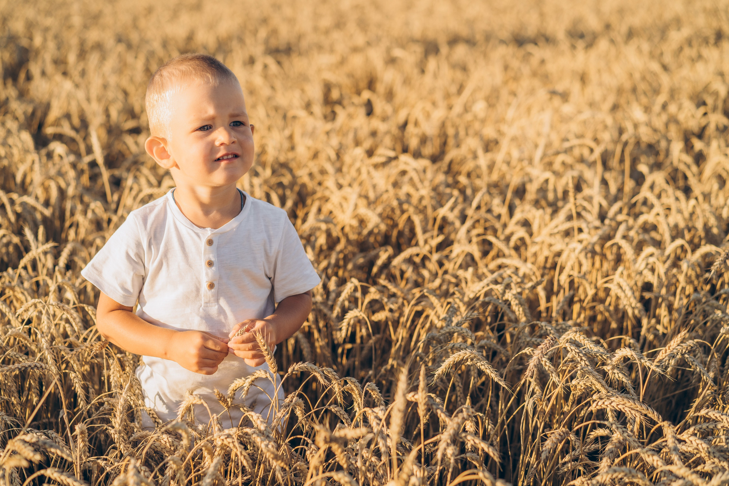Екатерина и Евгений. Фотограф в Баку Екатерина Ракитянская