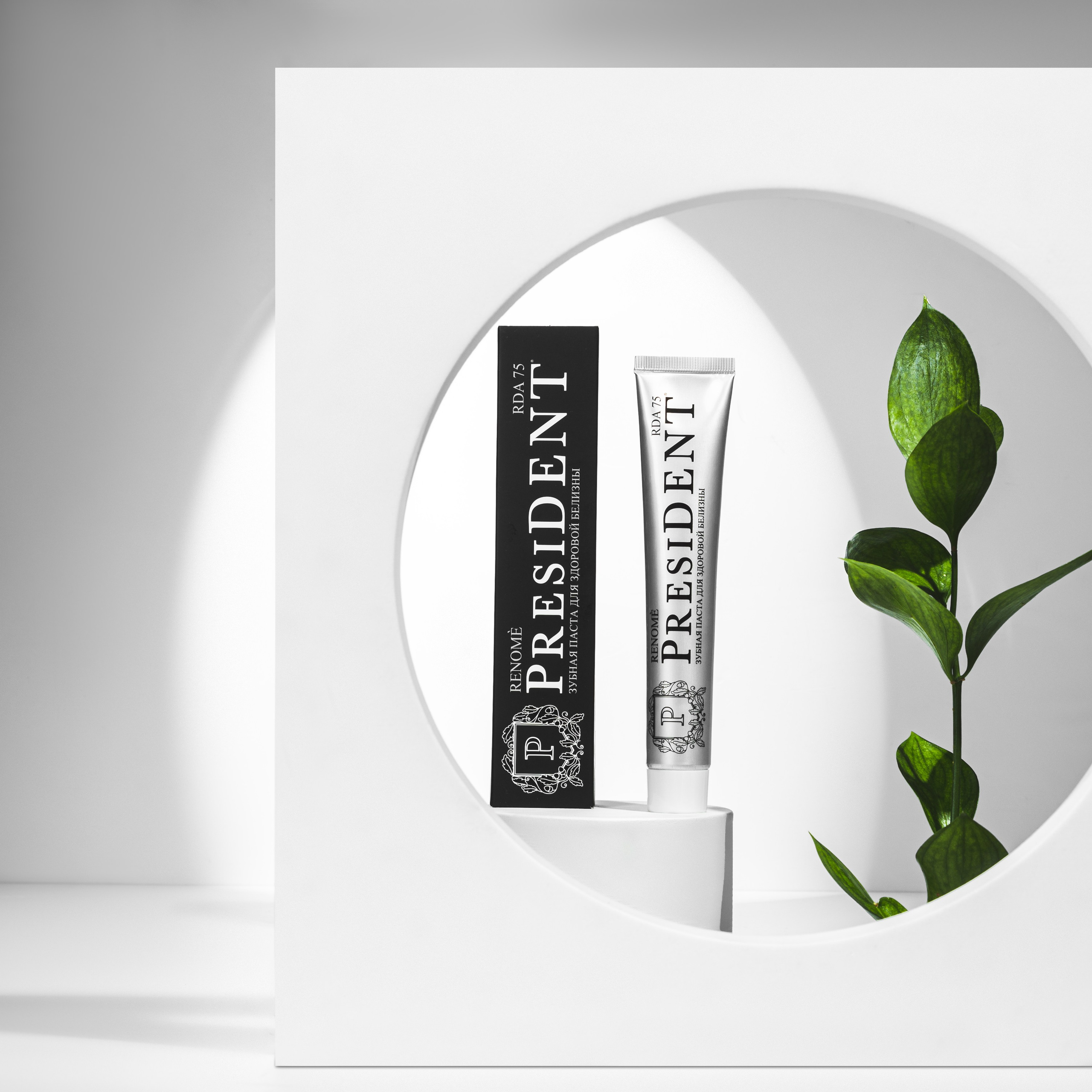 President. Главная