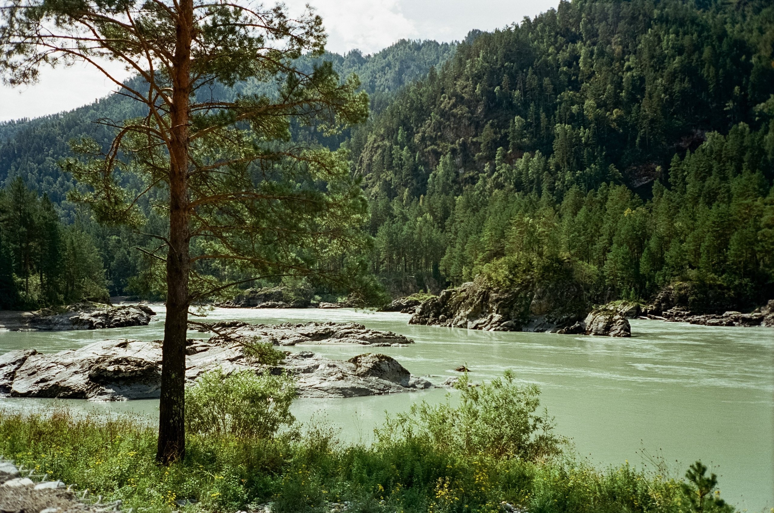 Кедровый остров, Катунь и скалы. Фотограф-документалист Мария Осокина