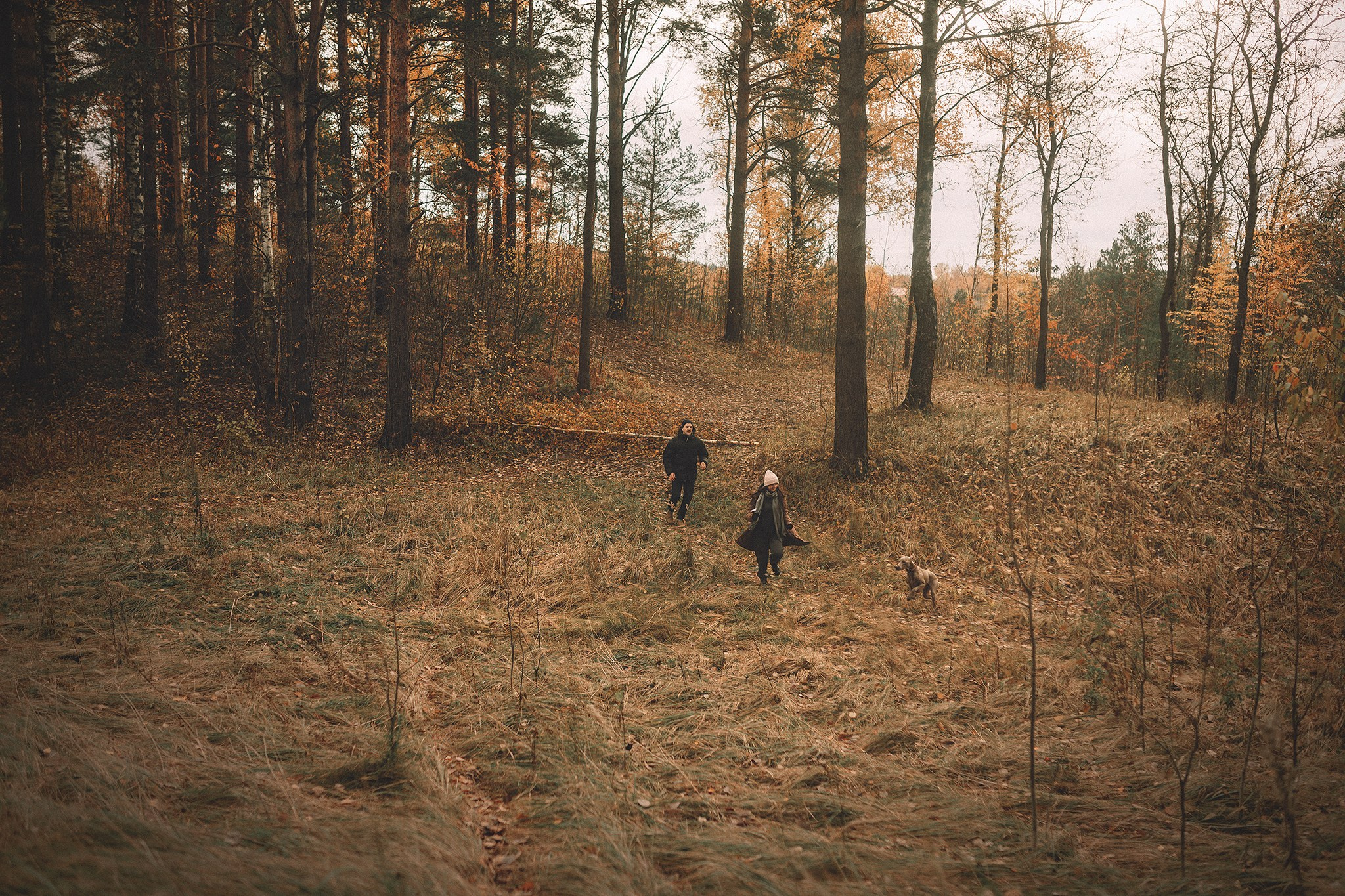 Элай и ребята. Фотограф-анималист • love-story • Санкт-Петербург