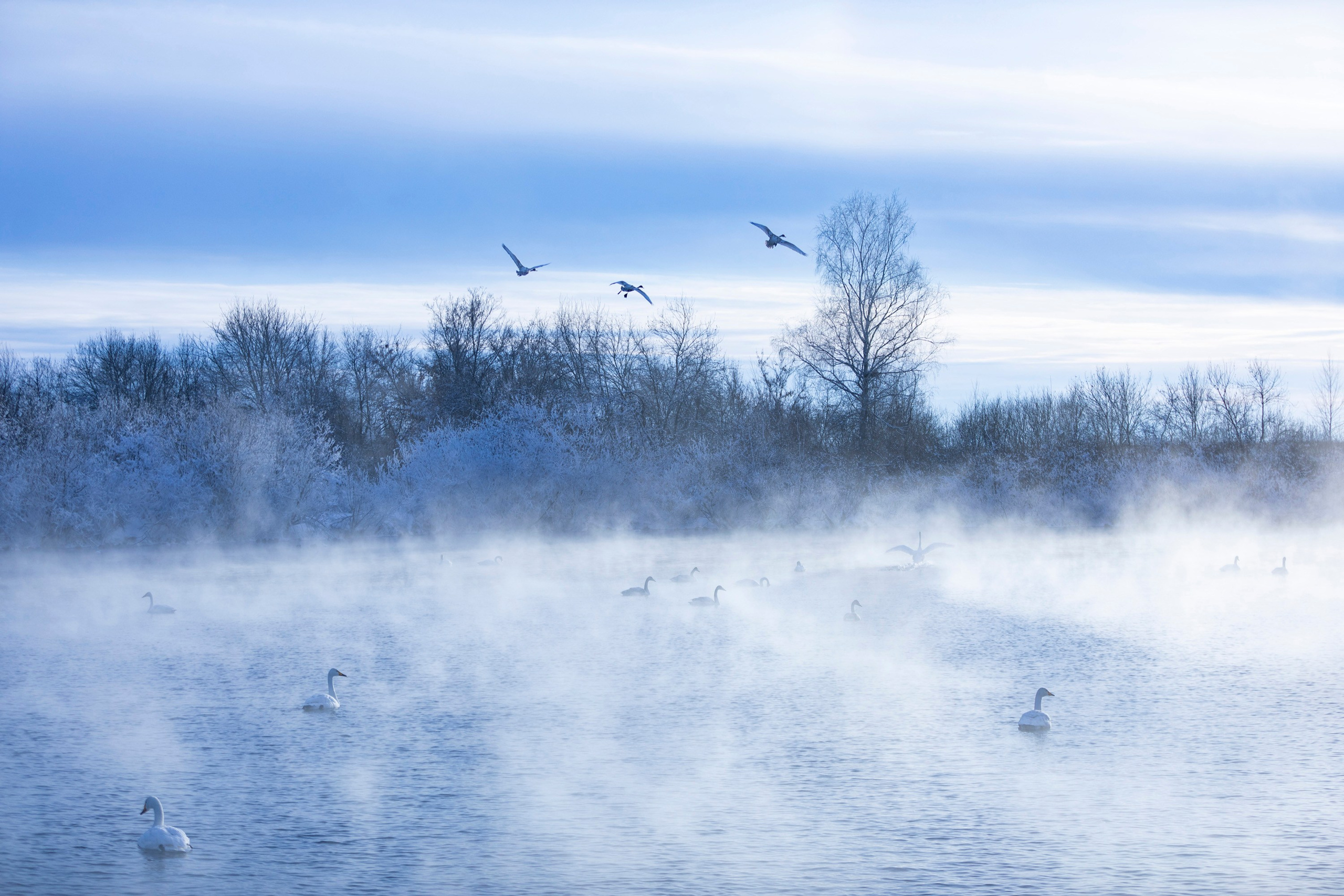 Алтай в декабре. Марина Захарова — Фотограф. Москва / Marina Zakharova — Photographer