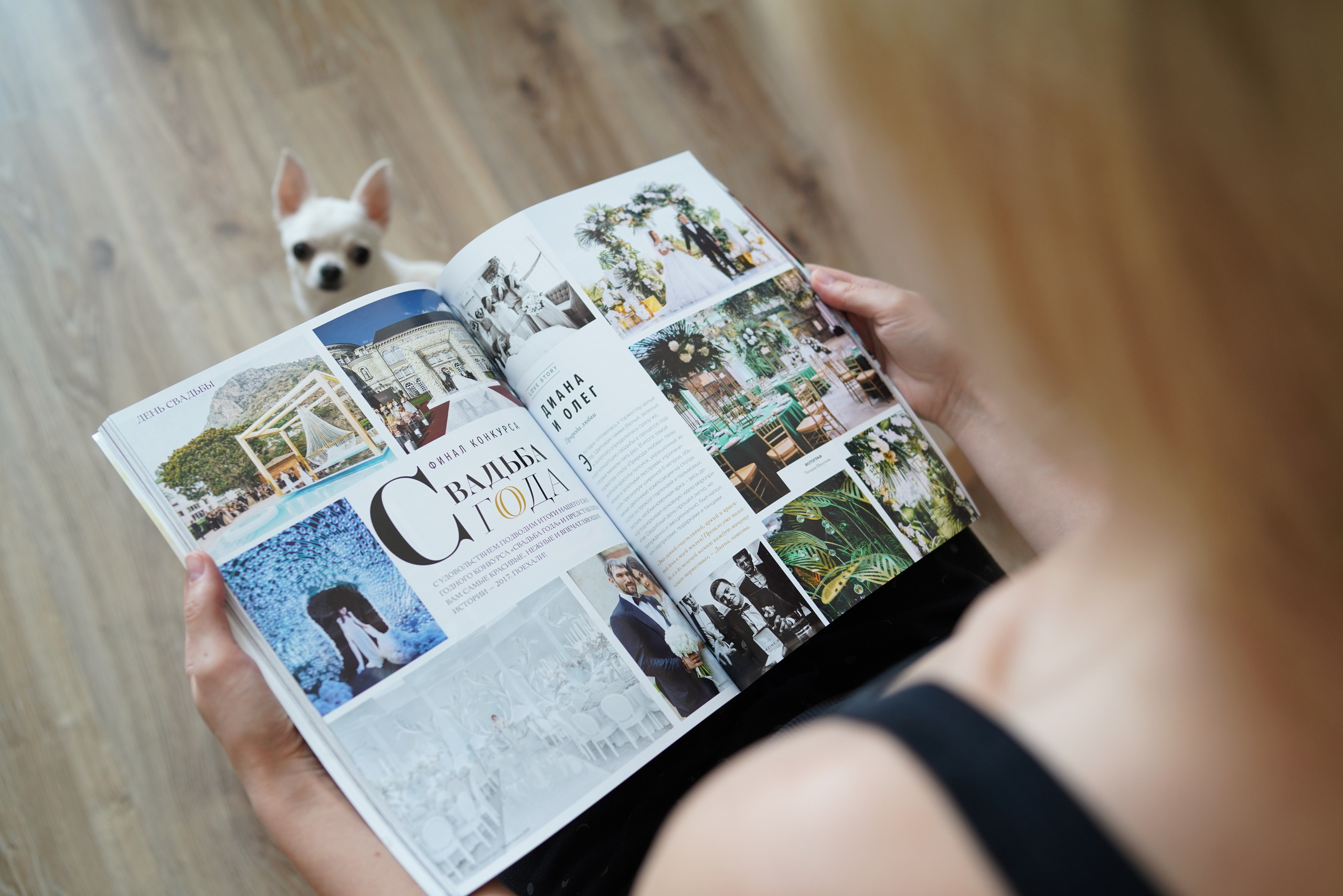 О нас / Контакты