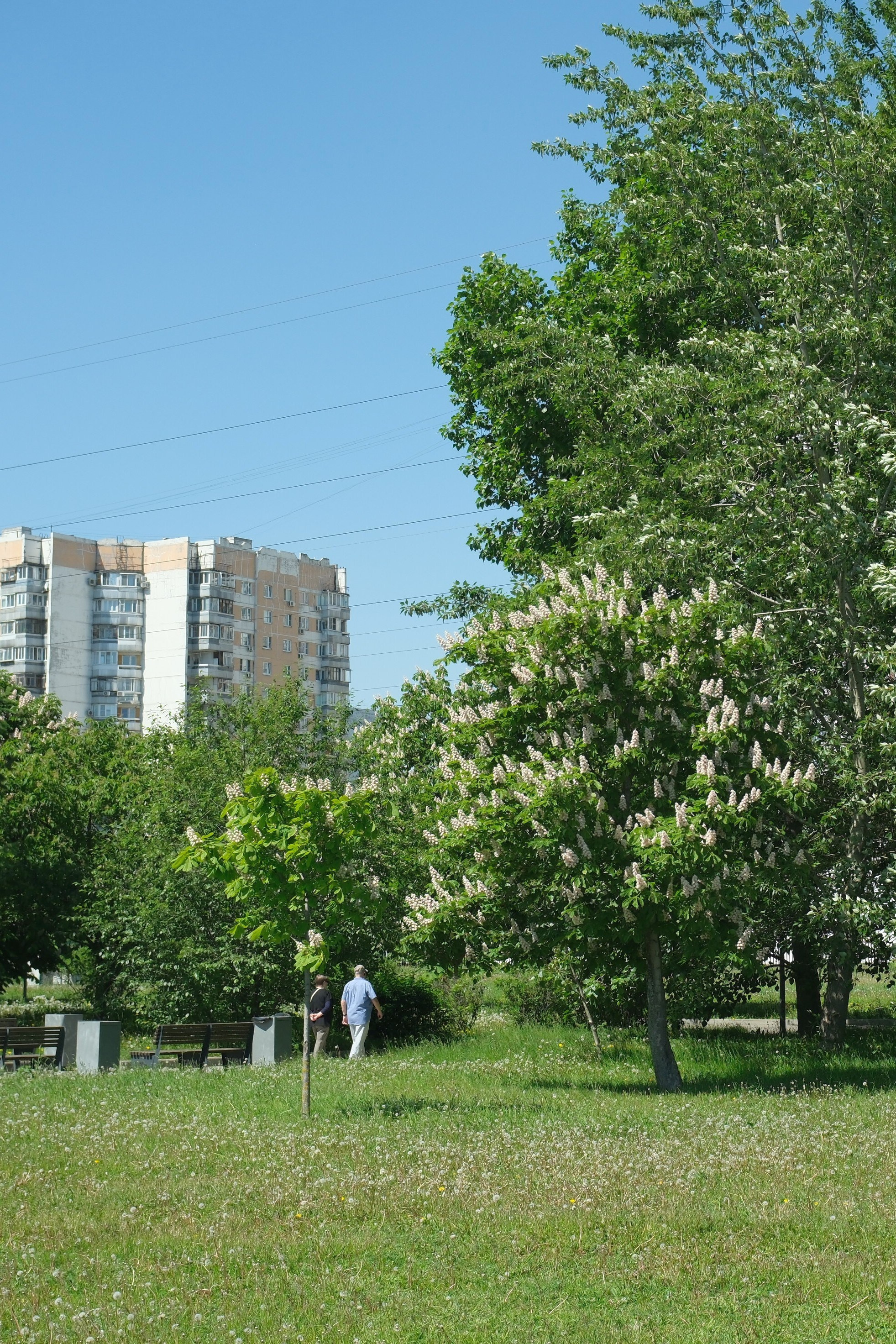 Парк 850 лет Москве. Улица, люди, жизнь…