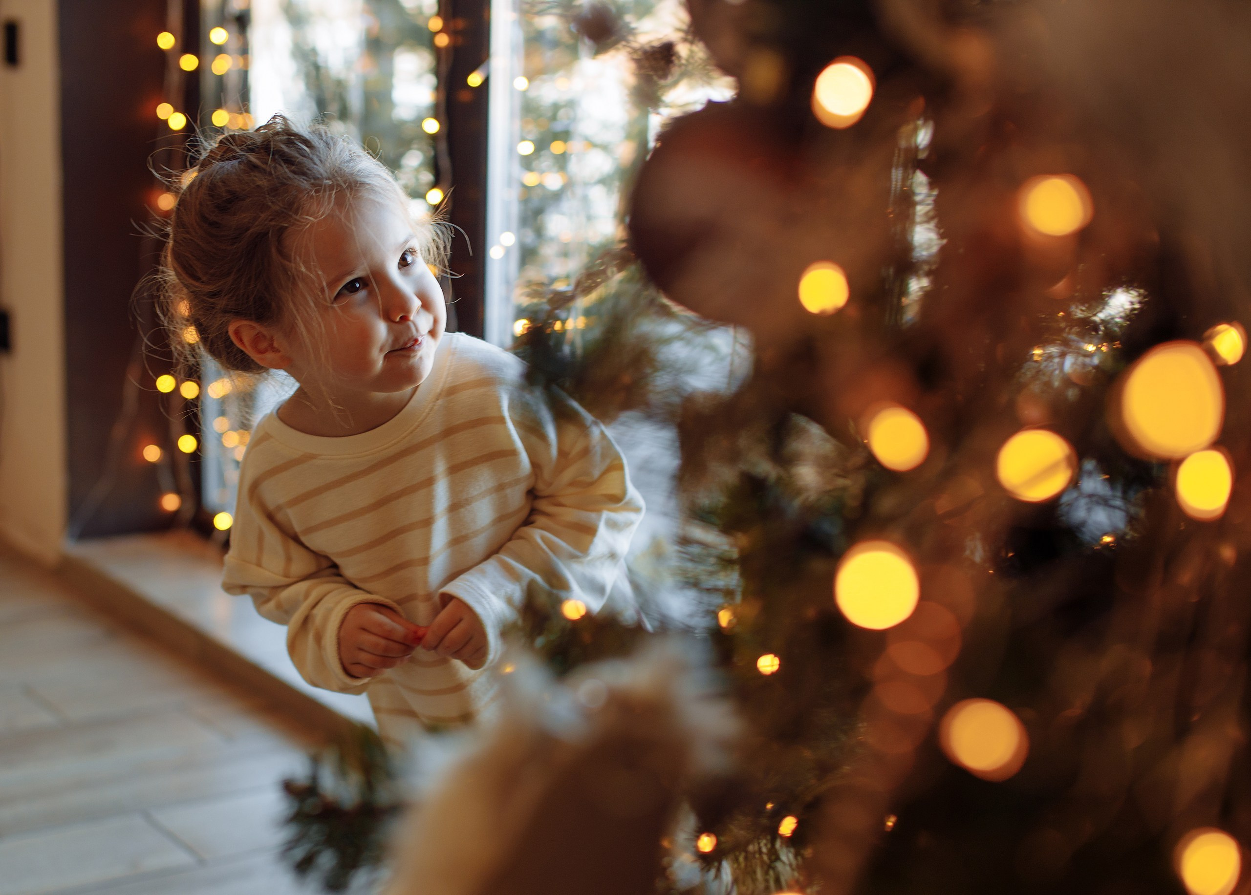 Новогодняя студийная загородном доме. Фотограф, видеограф