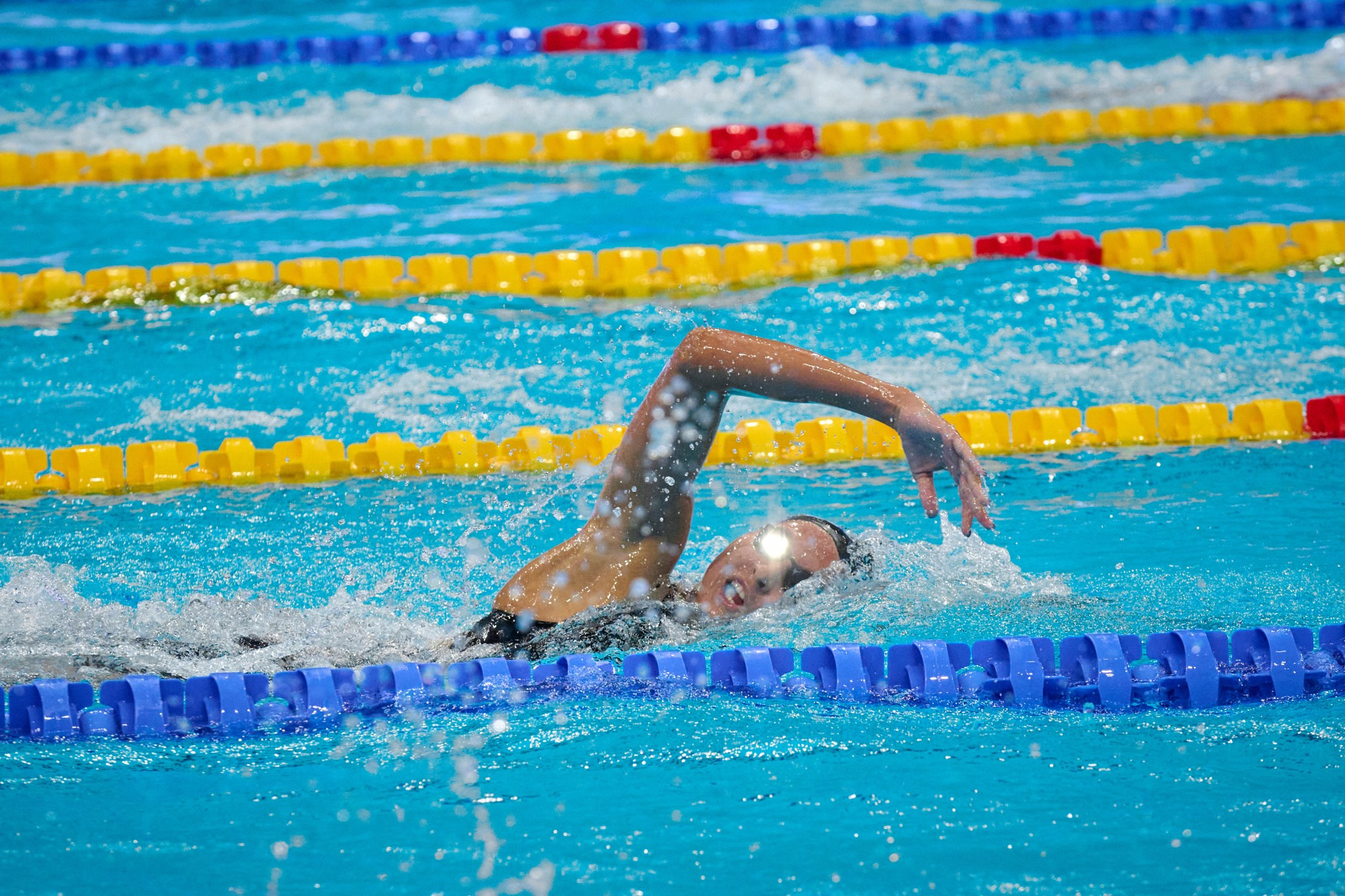 Кубок России по плаванию 2024 г. Екатеринбург. Мезенцев Евгений фотограф