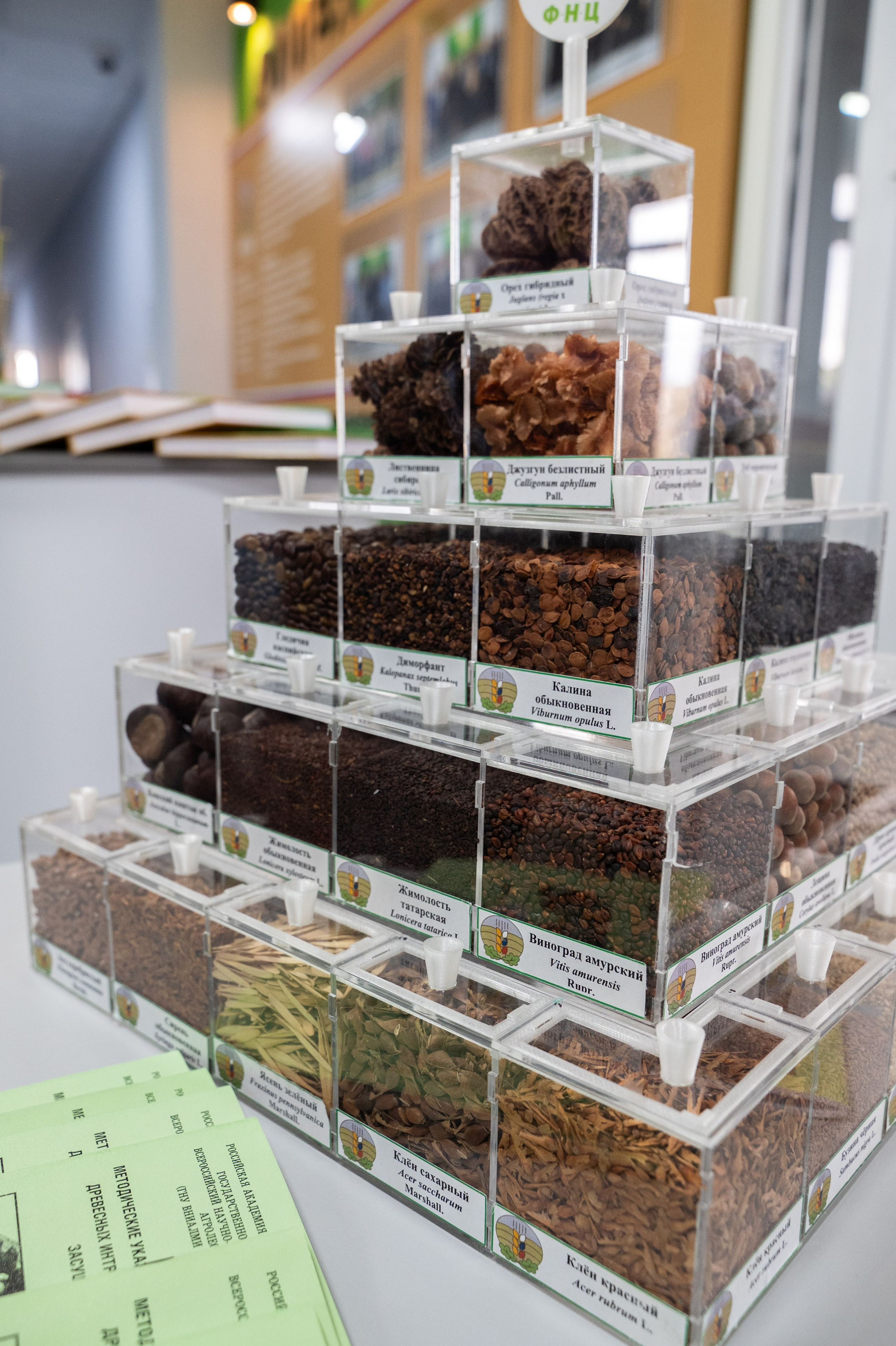 Международная конференция РАН