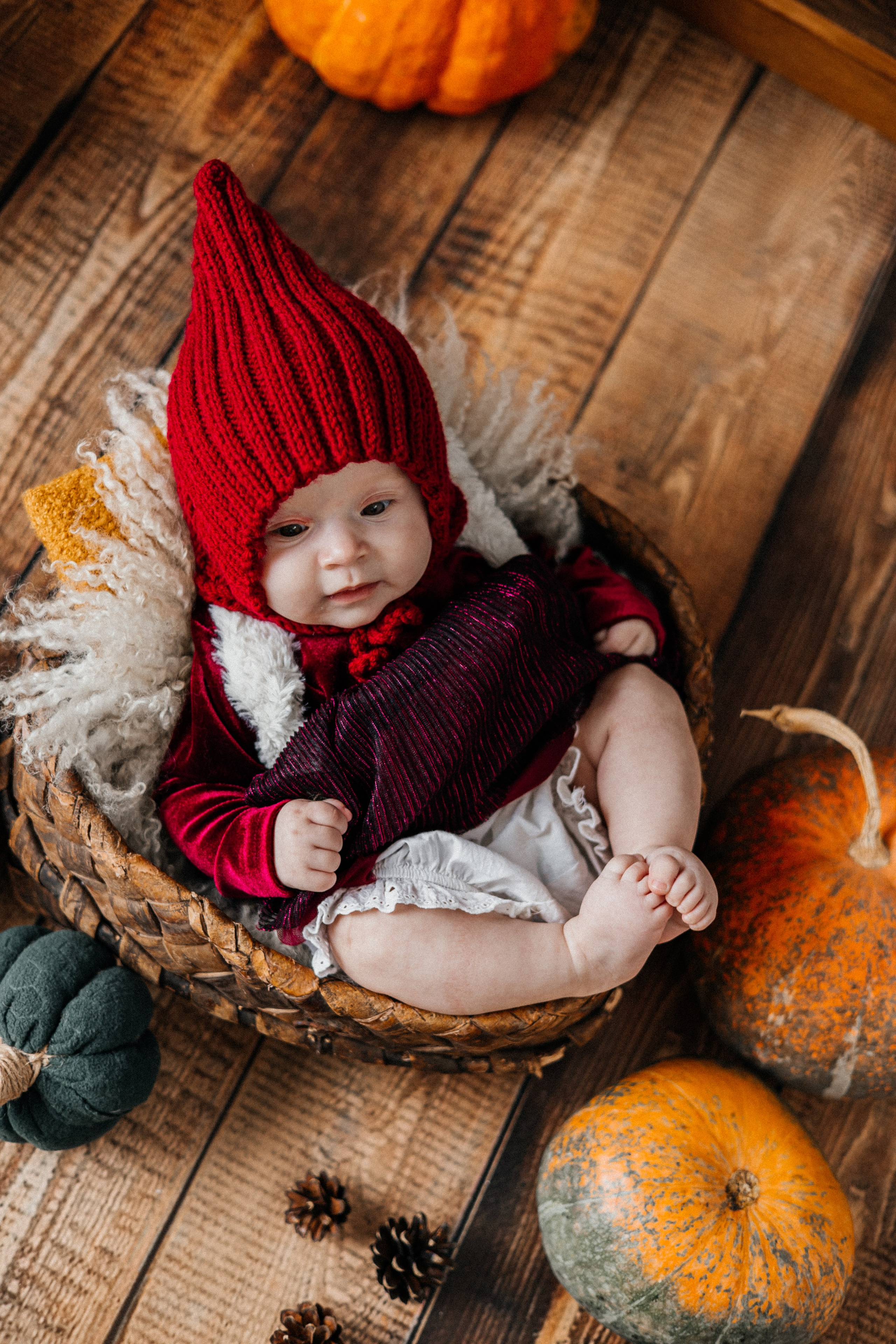 Гномы. Фотограф новорождённых Екатерина Боброва. Ульяновск