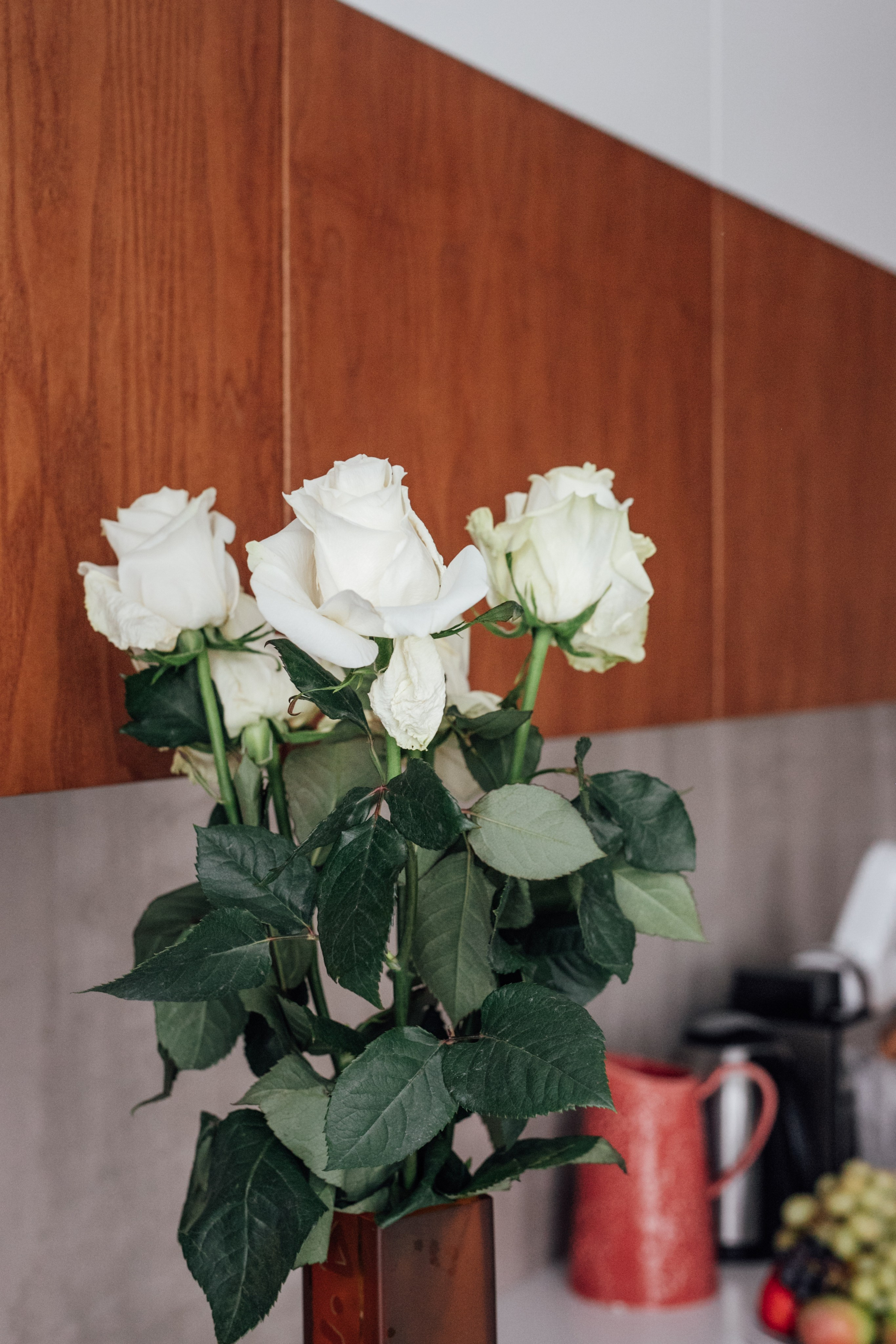 Семья Герштейн. Фотограф Анастасия Петрова