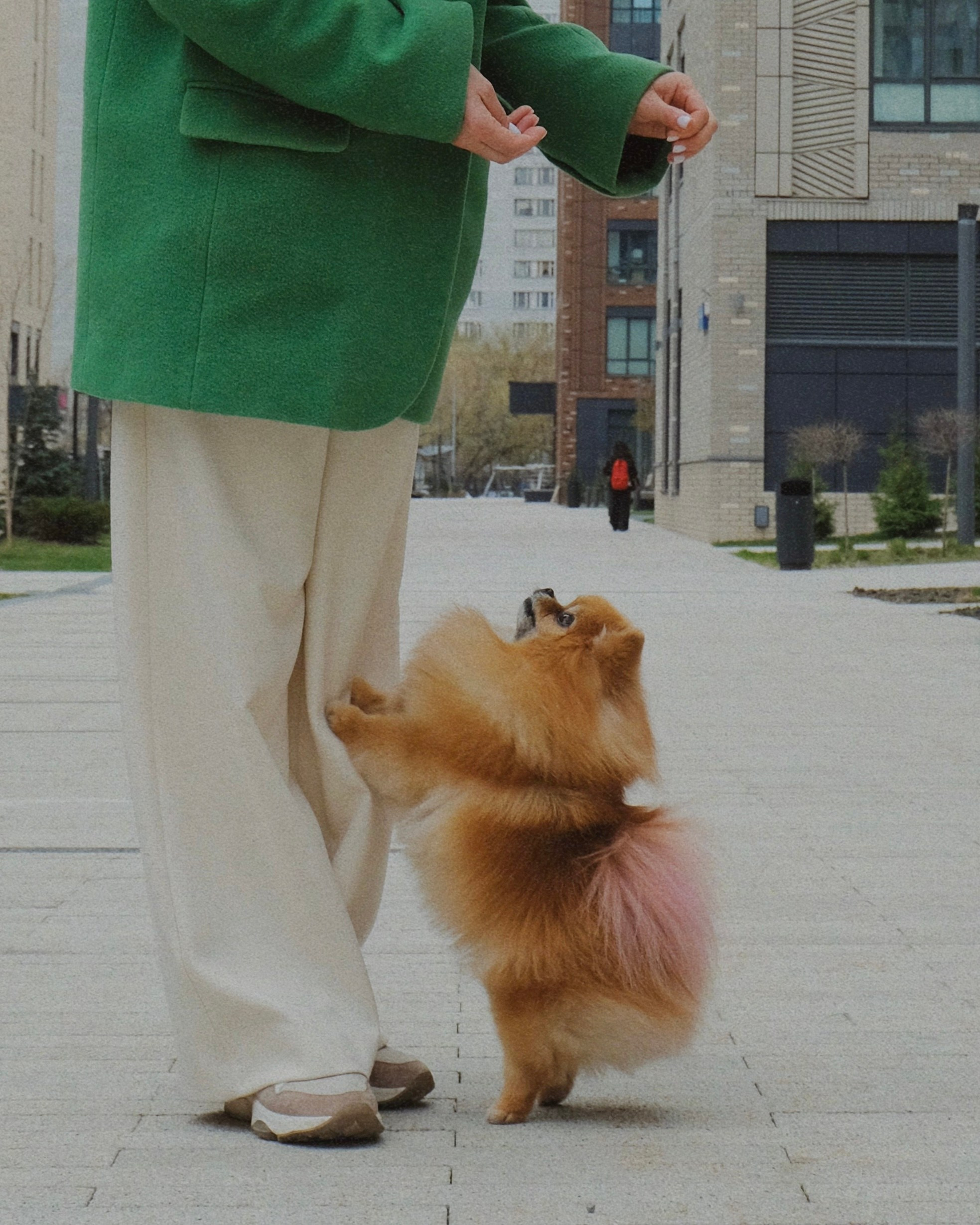 Питомцы. Татьян гертье