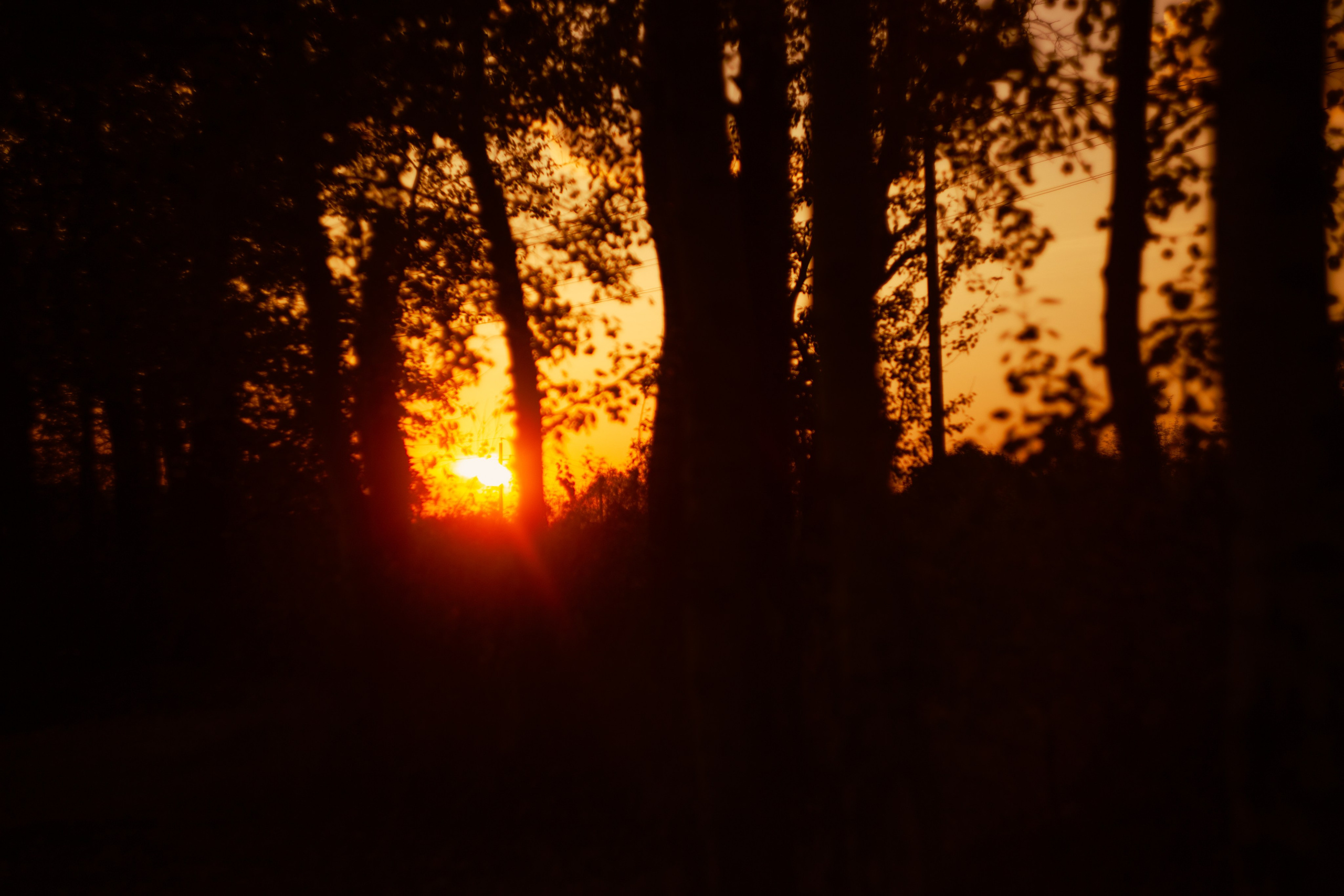 Сентябрь 2023. Efremovaphoto.ru