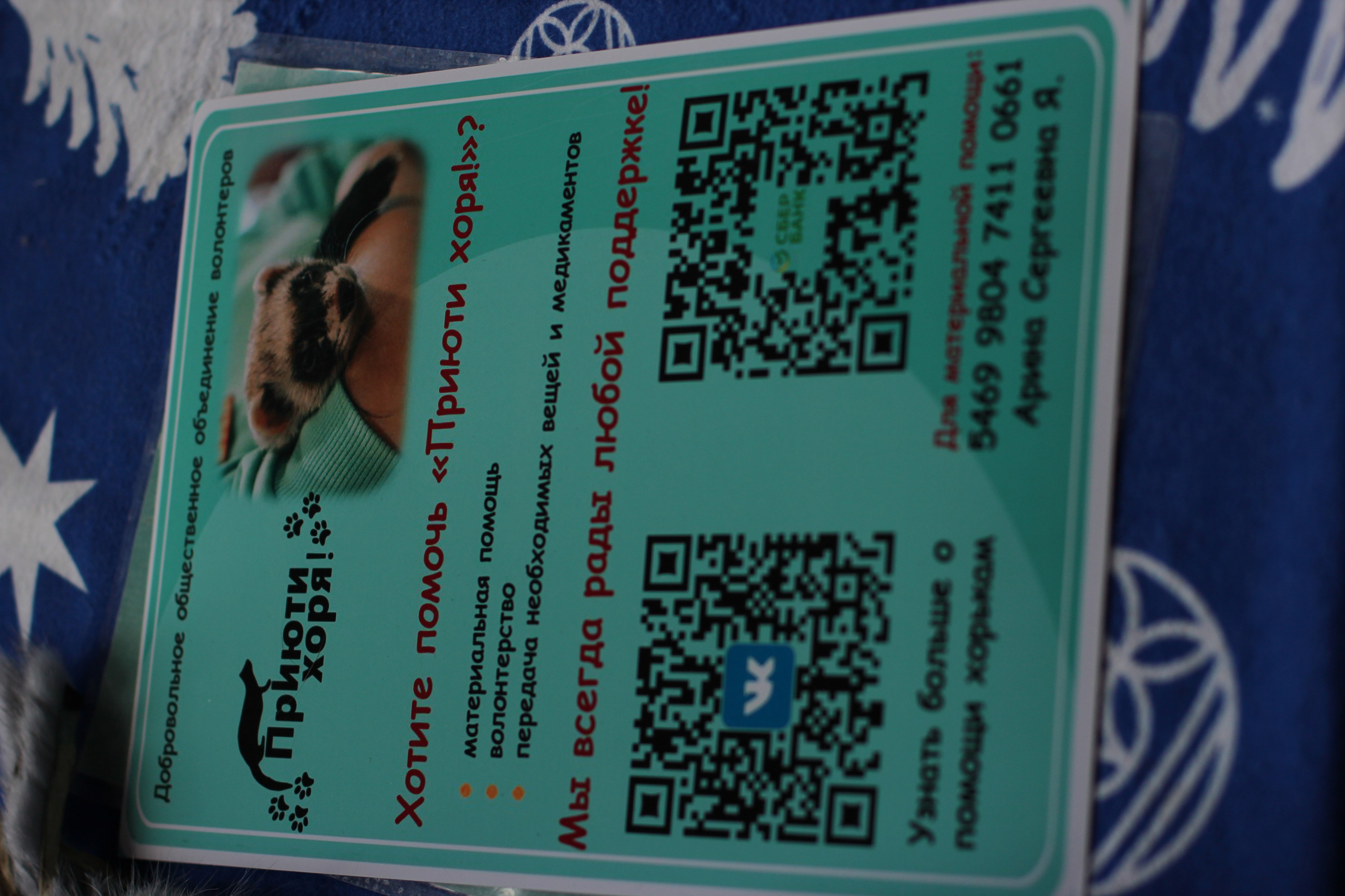 Выставка «Волшебница». Ваш личный фотограф в Москве Мила