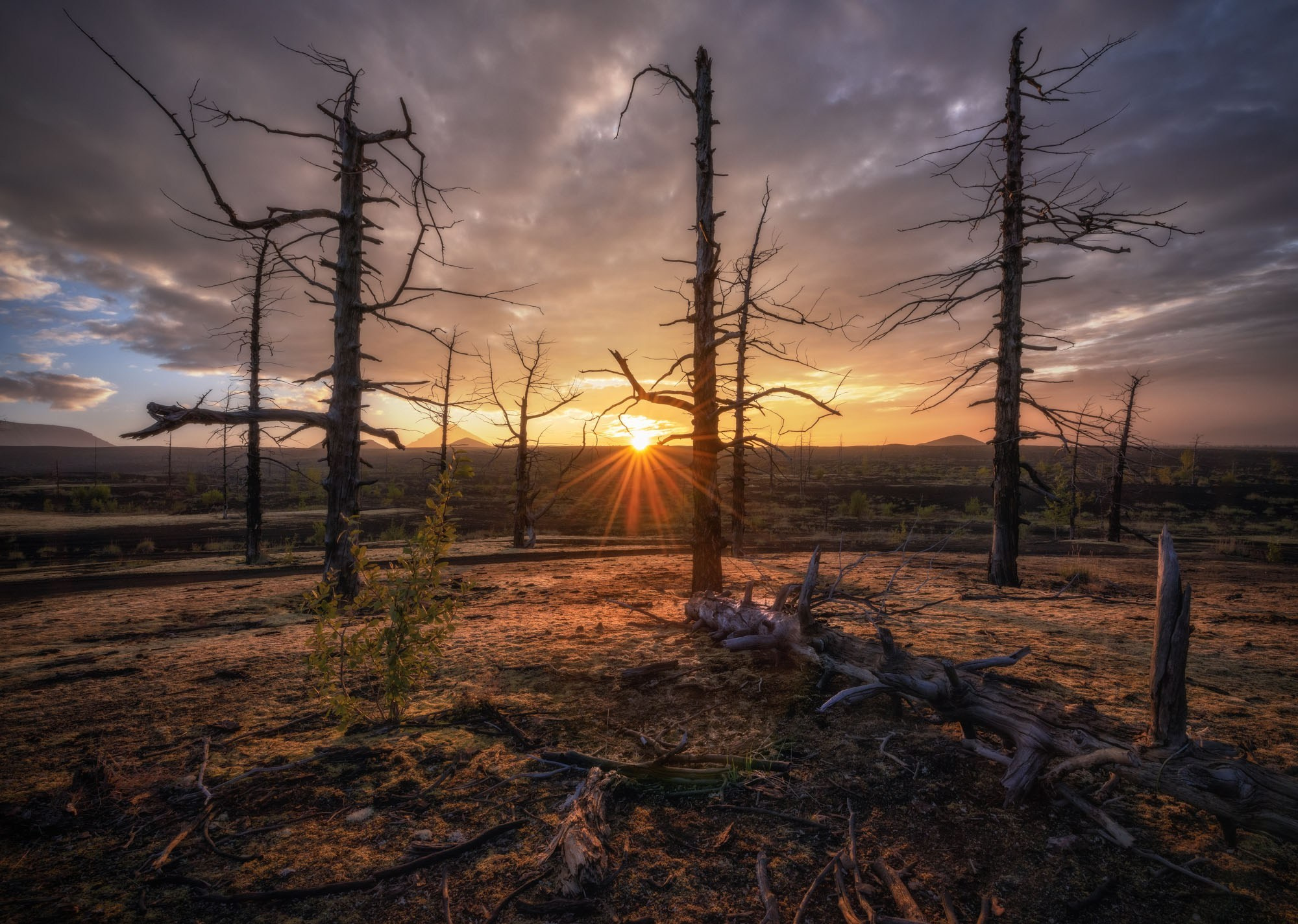 Фототур на Камчатку 2026
