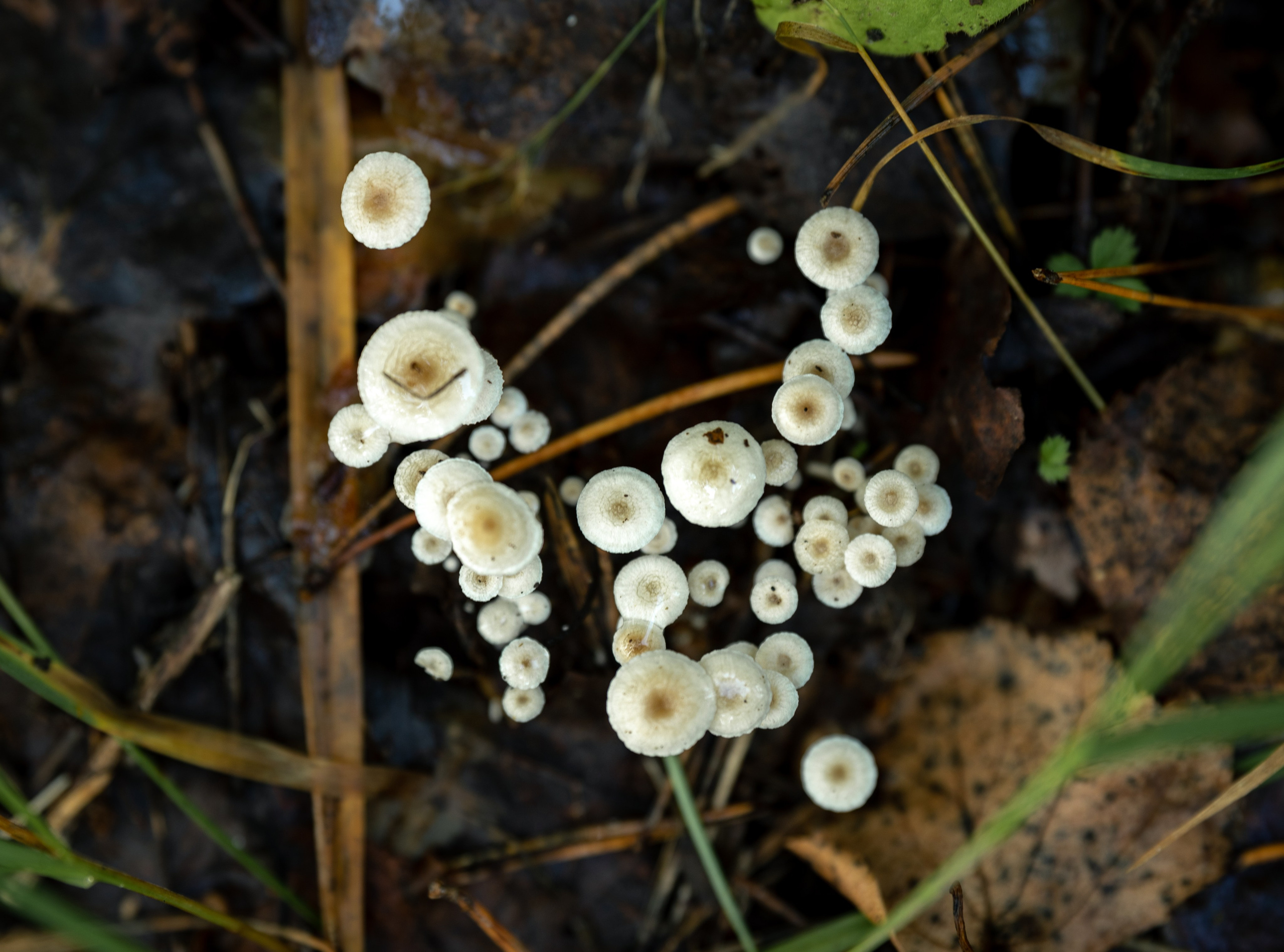 Природные пейзажи. Наталия Клевинскас портретный фотограф в Костроме
