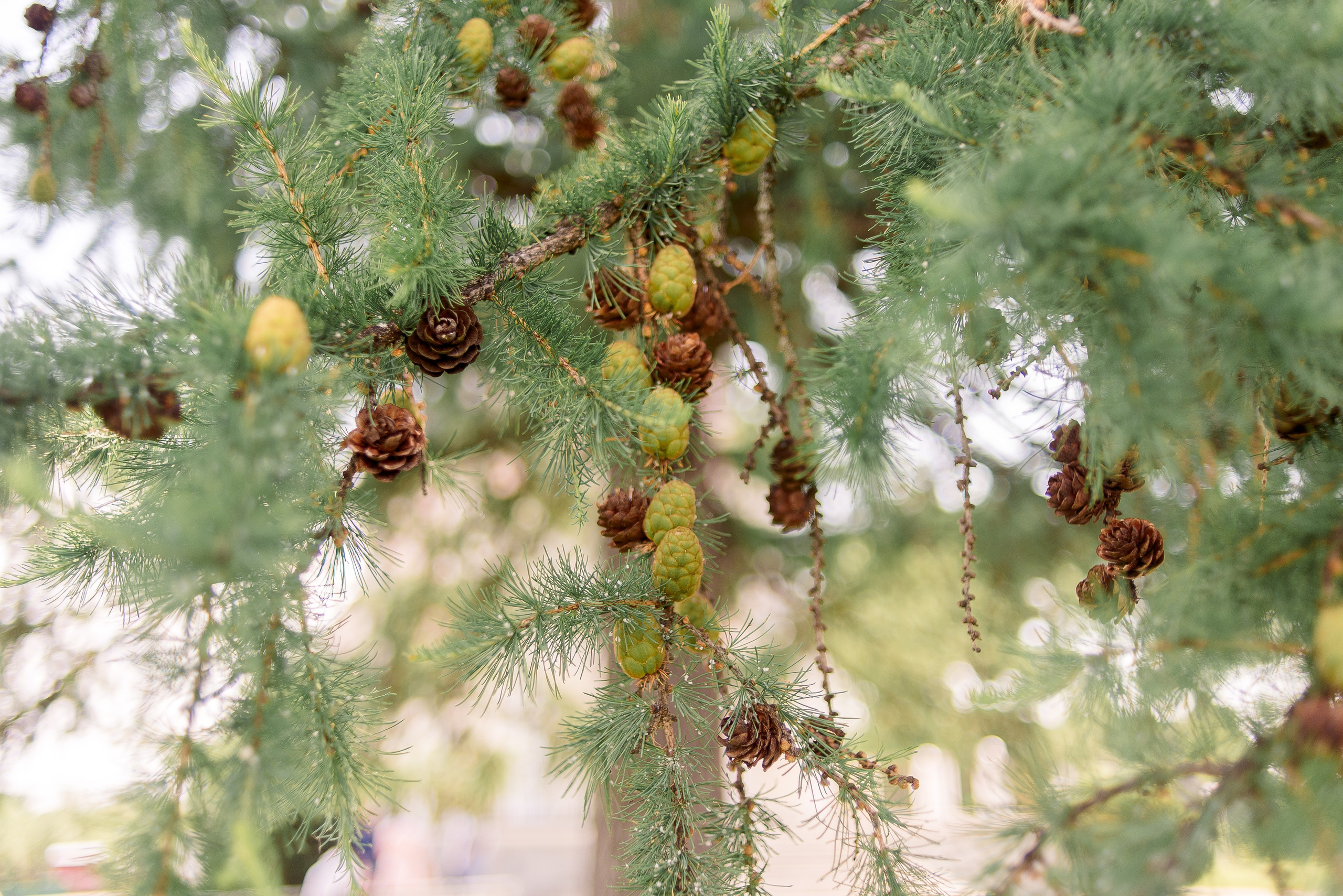 Крещение Ники. Фотограф Юлия Попова