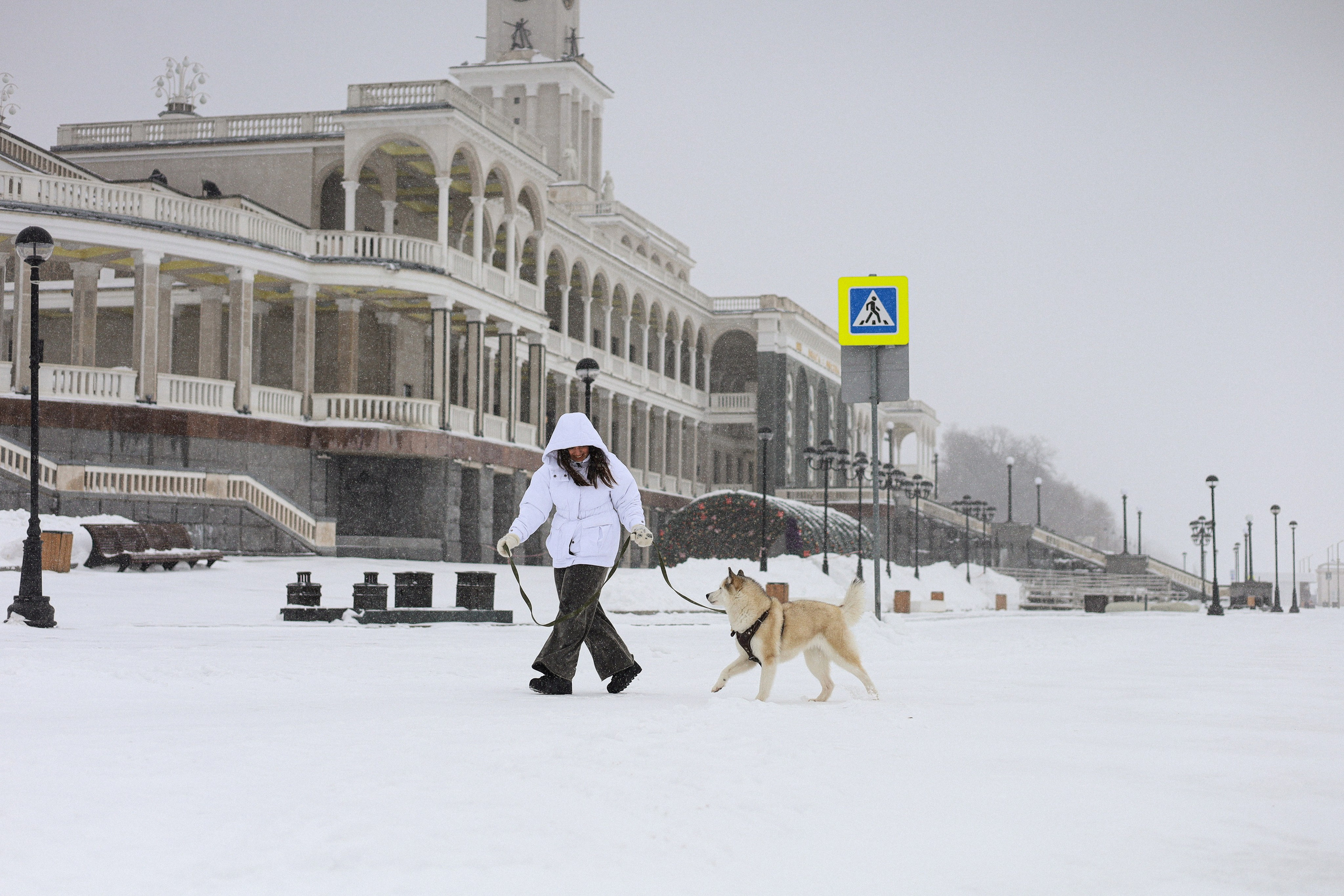 Мила, Лиза и Матвей. Фотограф-анималист Ксения Шевцова|Москва