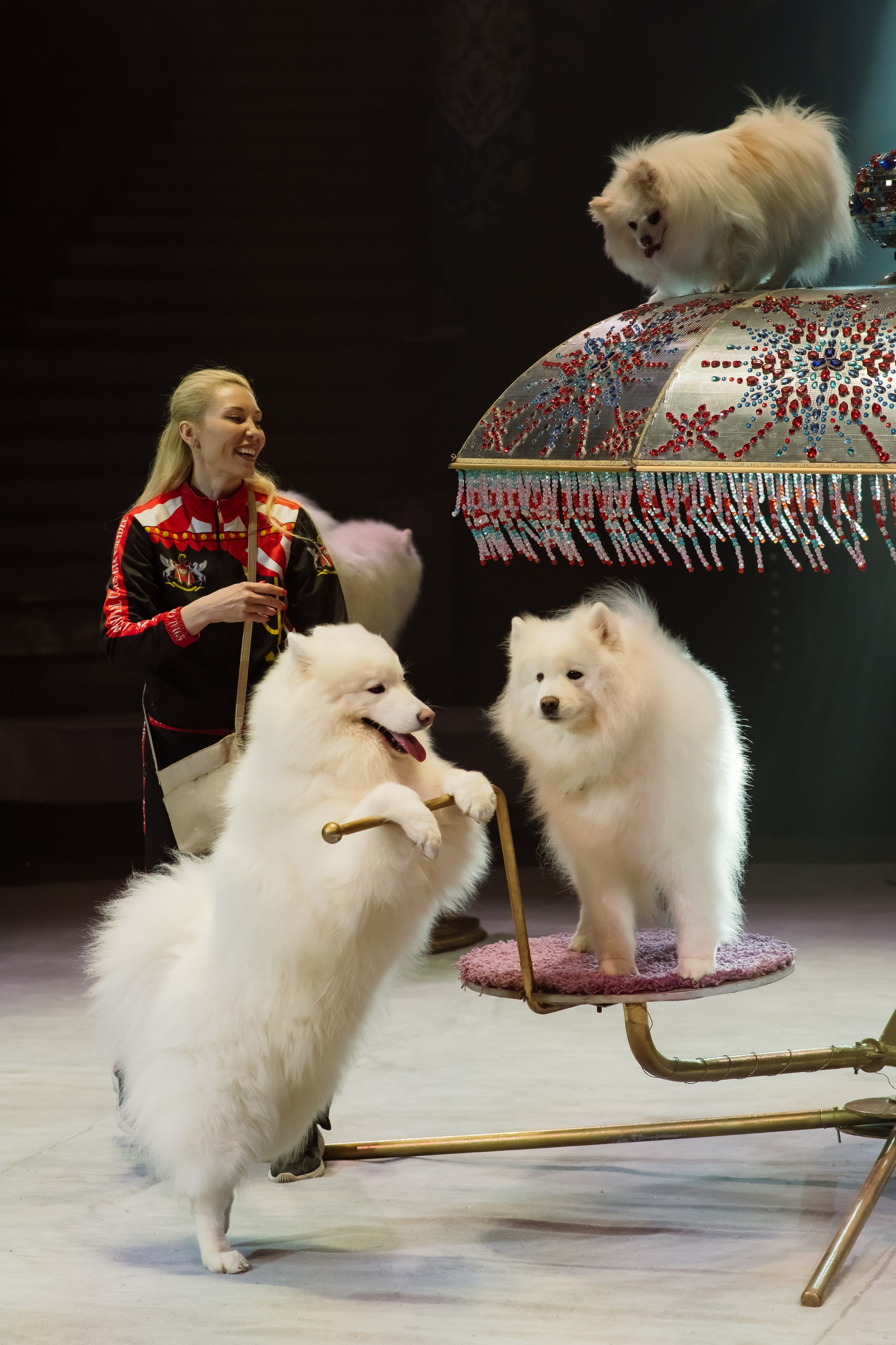 Репортаж. Фотограф Новосибирск Анна Рождественская