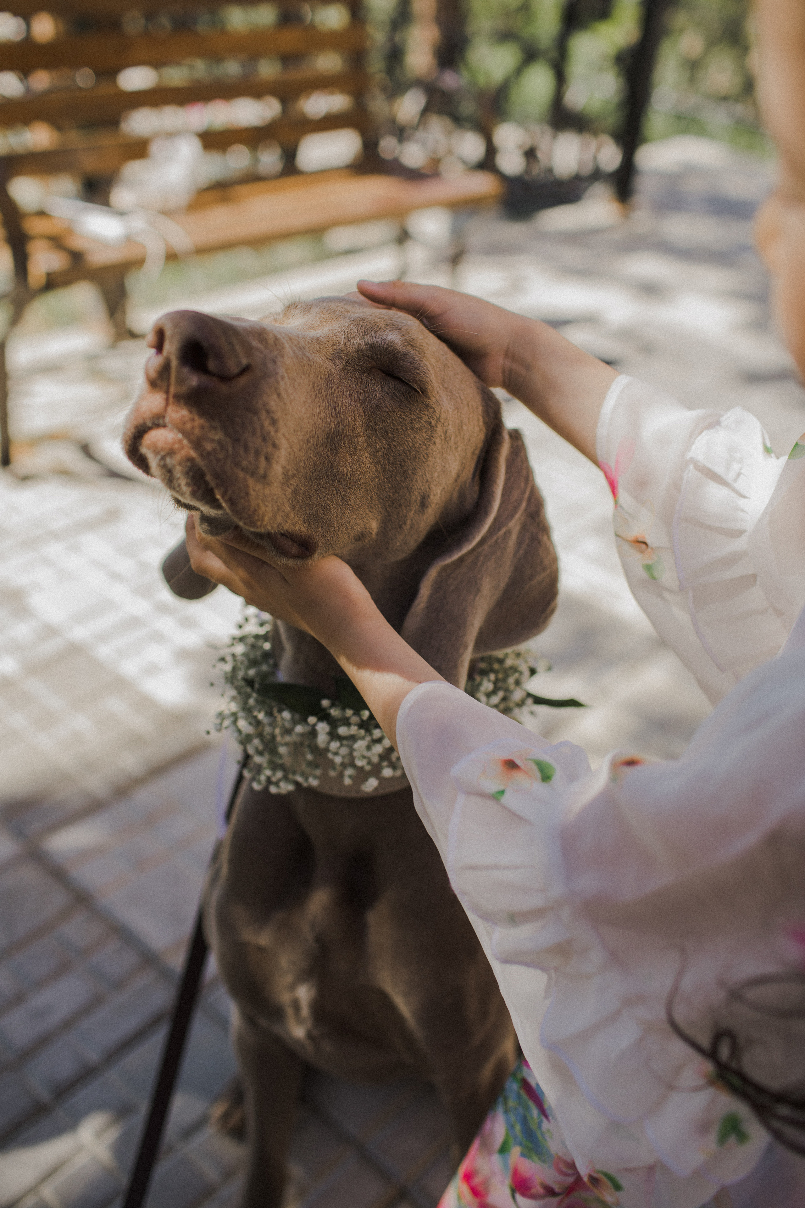 Сандаара и Василий. 19 июня 2021. Свадебный и семейный фотограф в Якутске
