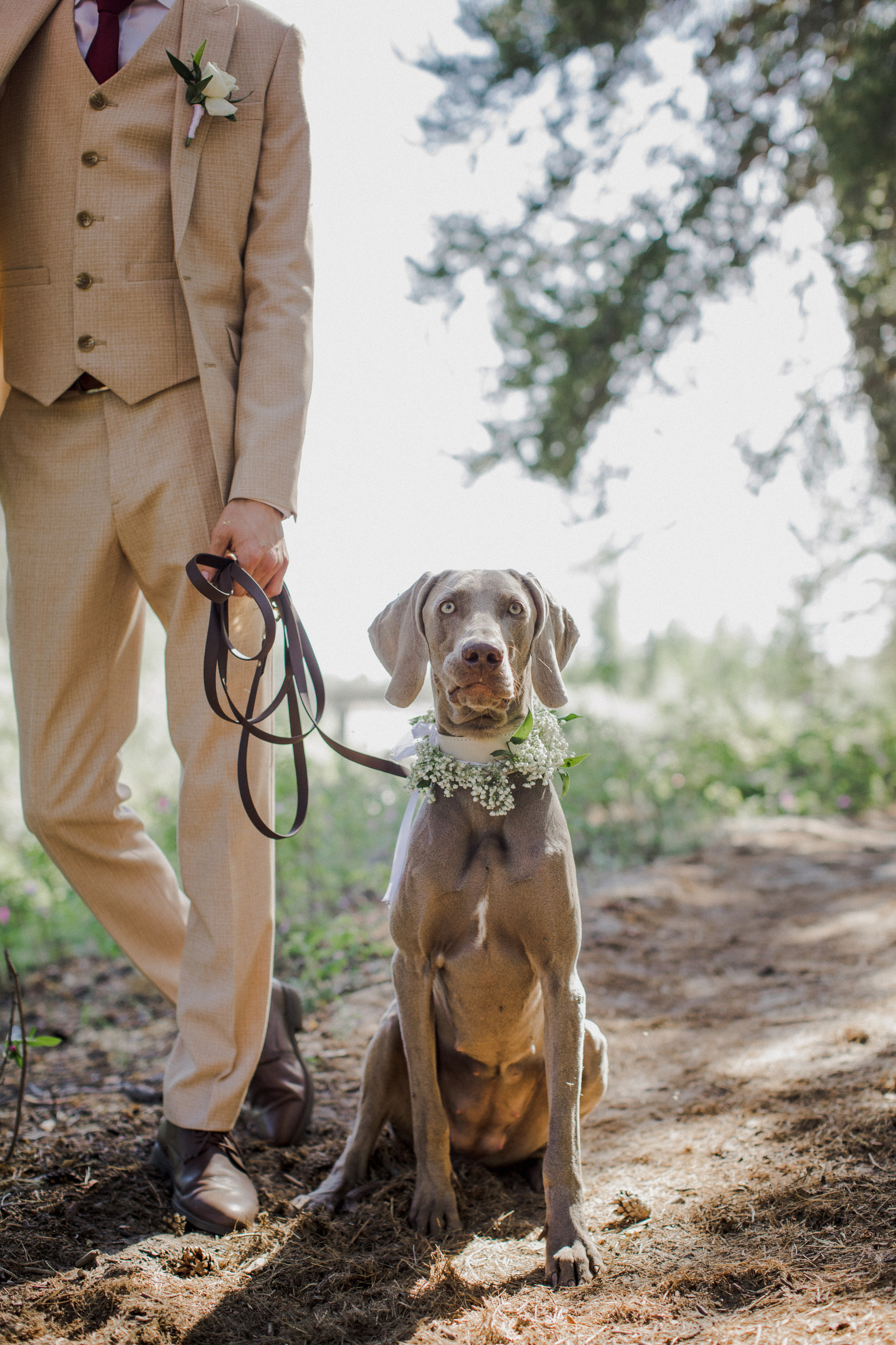 Сандаара и Василий. 19 июня 2021. Свадебный и семейный фотограф в Якутске
