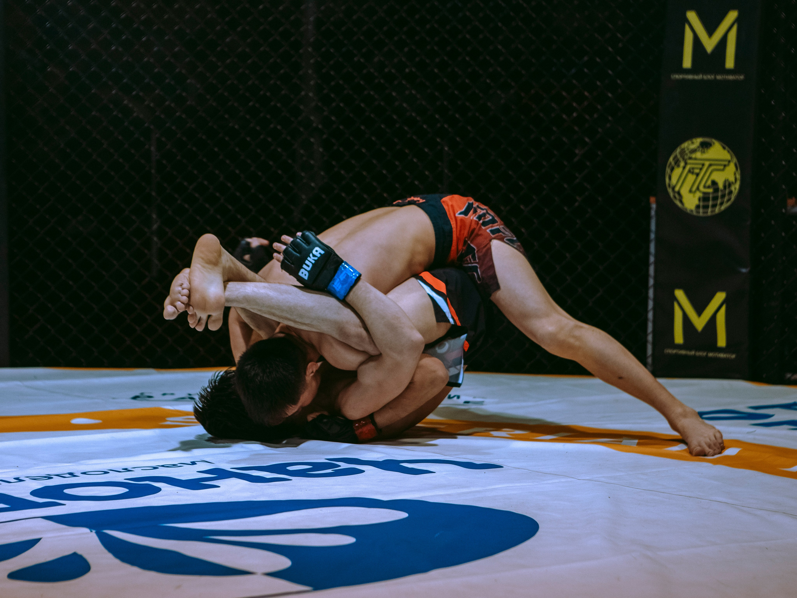 SFL 17 | Siberian Fighting League. Портретный фотограф в Москве Дарья Цезария