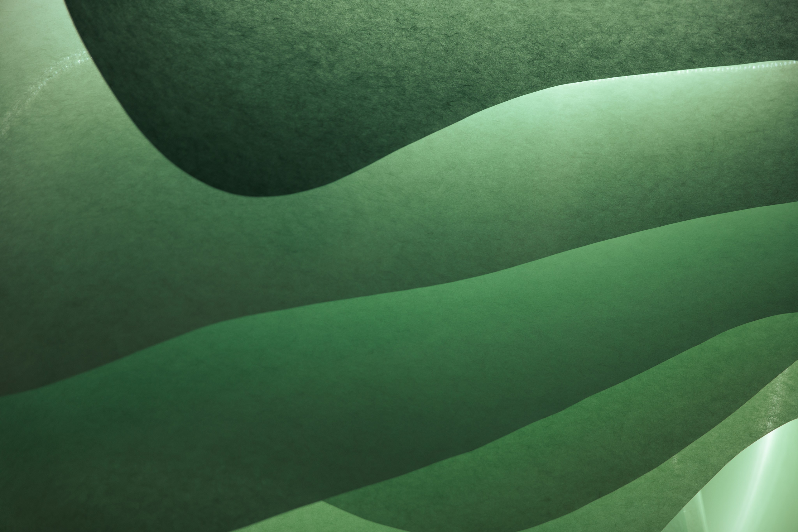 АРХ Москва. Фотограф Иван Белов