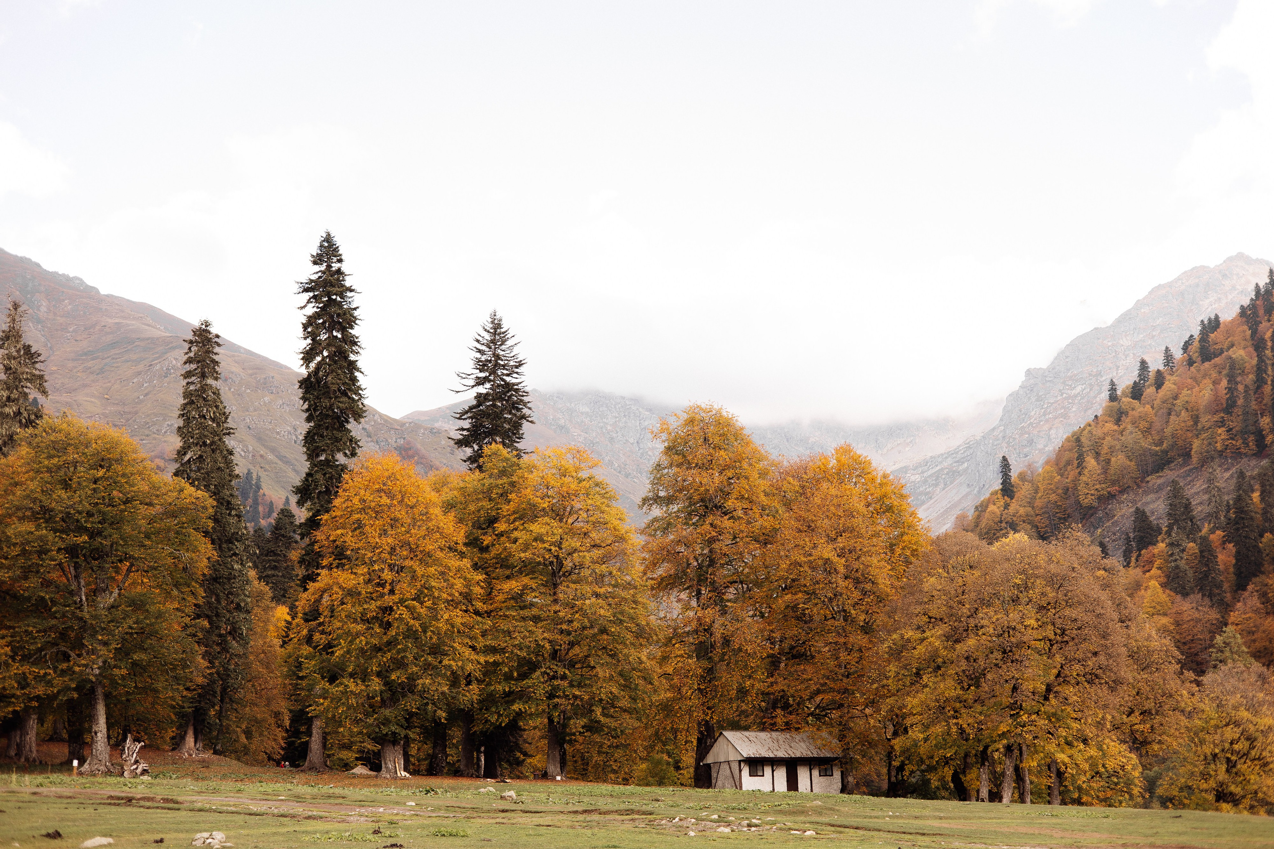 Рита (Абхазия). Семейный свадебный фотограф Семен Егоров