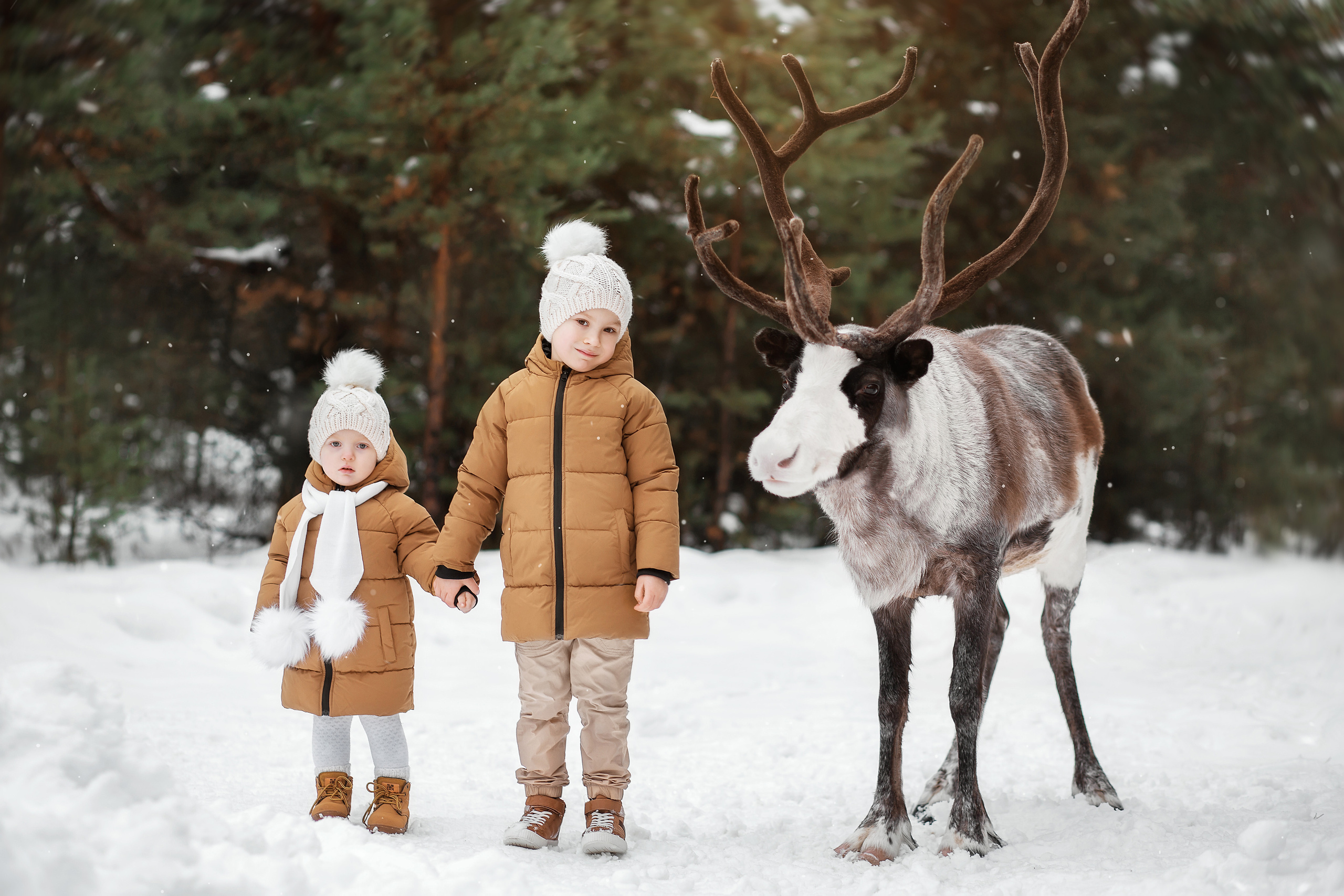 Фотопрогулки. Фотограф беременности и семейный фотограф в Нижнем Новгороде Мила Шелест