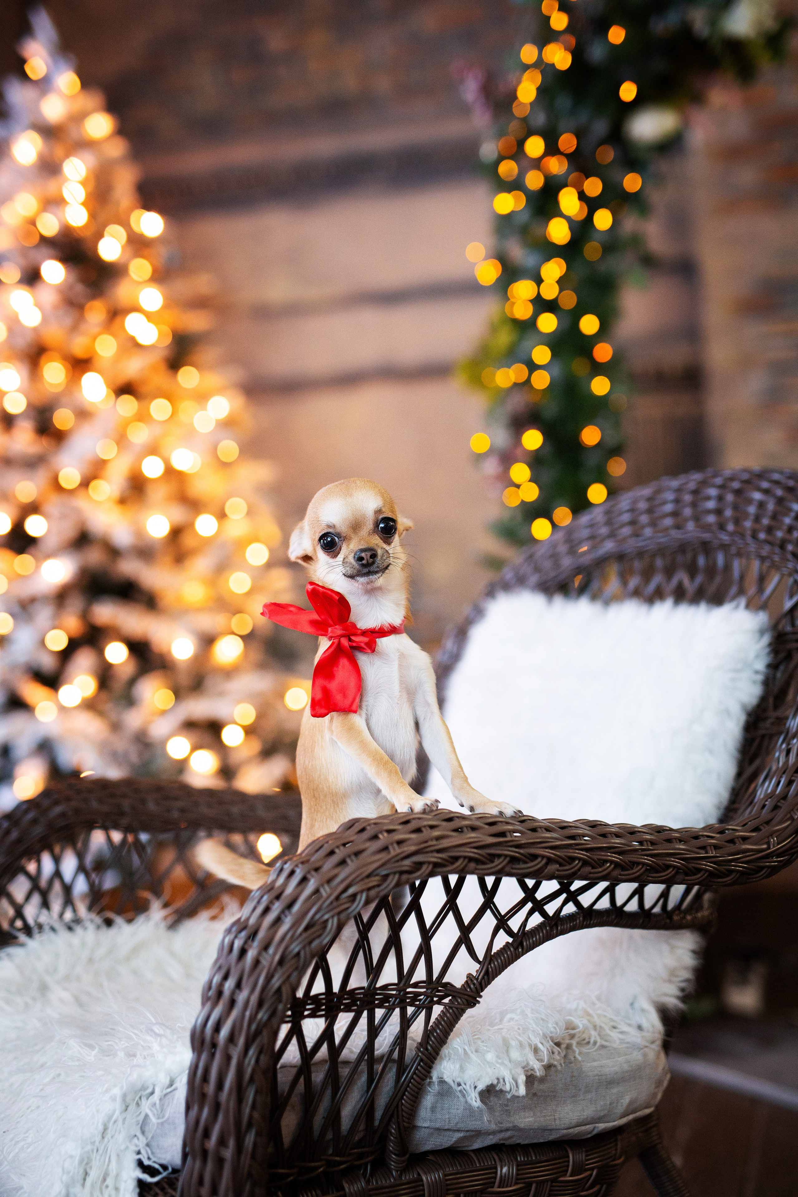Студийные съёмки. Фотограф беременности и семейный фотограф в Нижнем Новгороде Мила Шелест