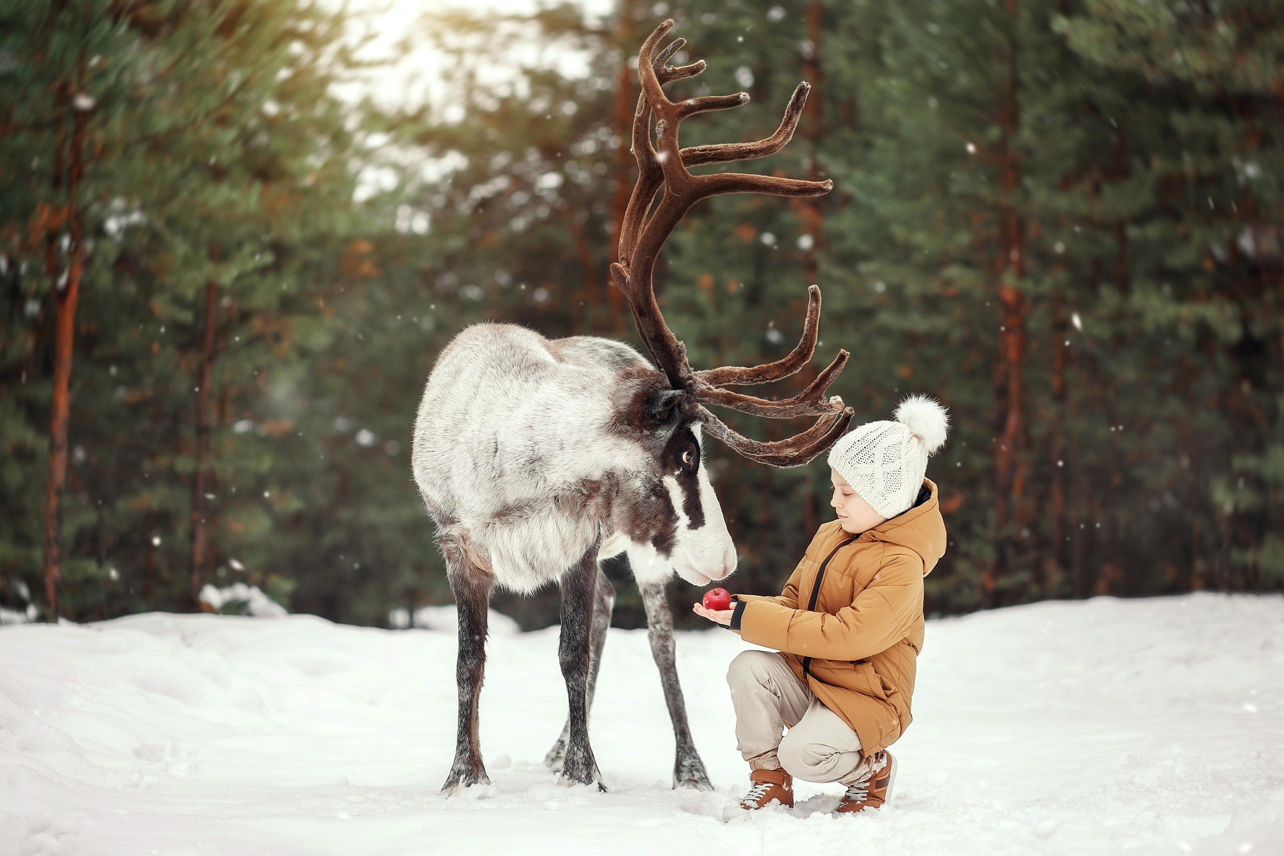 Фотограф беременности и семейный фотограф в Нижнем Новгороде Мила Шелест