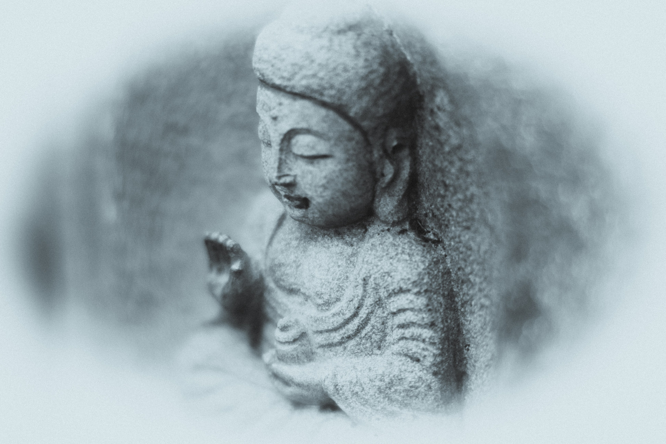 Silence. Главная