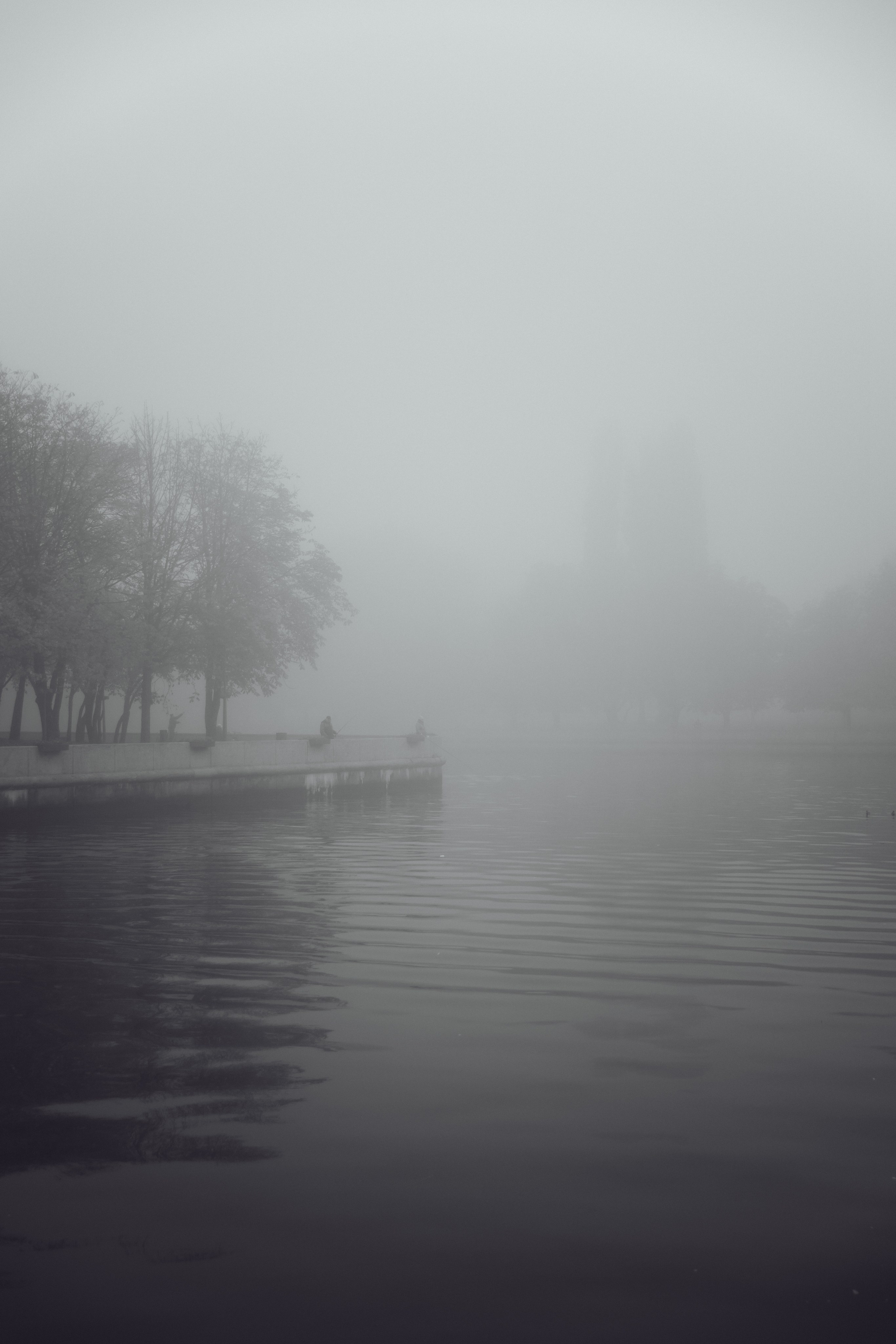 Дмитрий и Юлия. Фотограф Калининград Илья Миллер