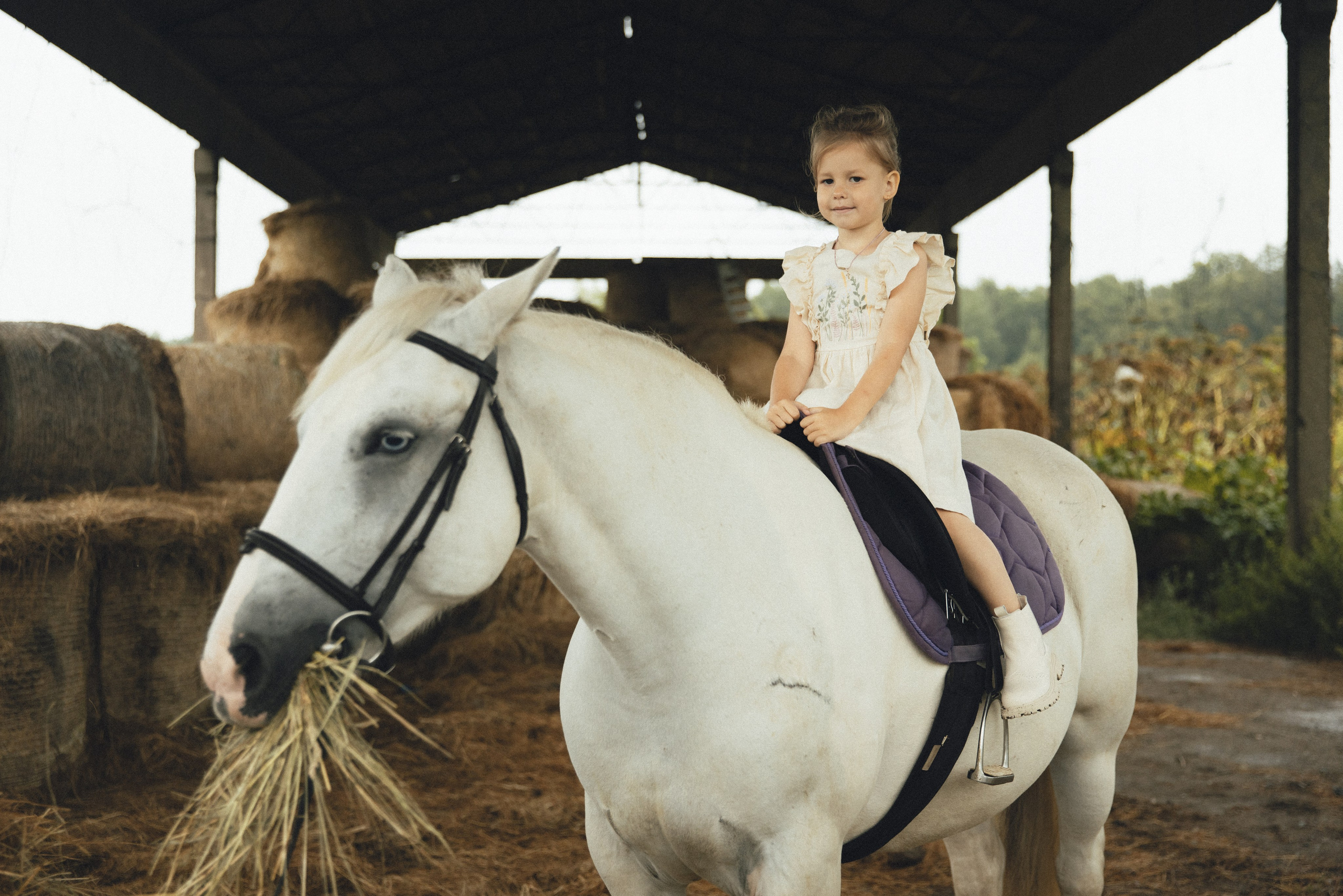 Семья в Конюшне. Фотограф Калининград Илья Миллер