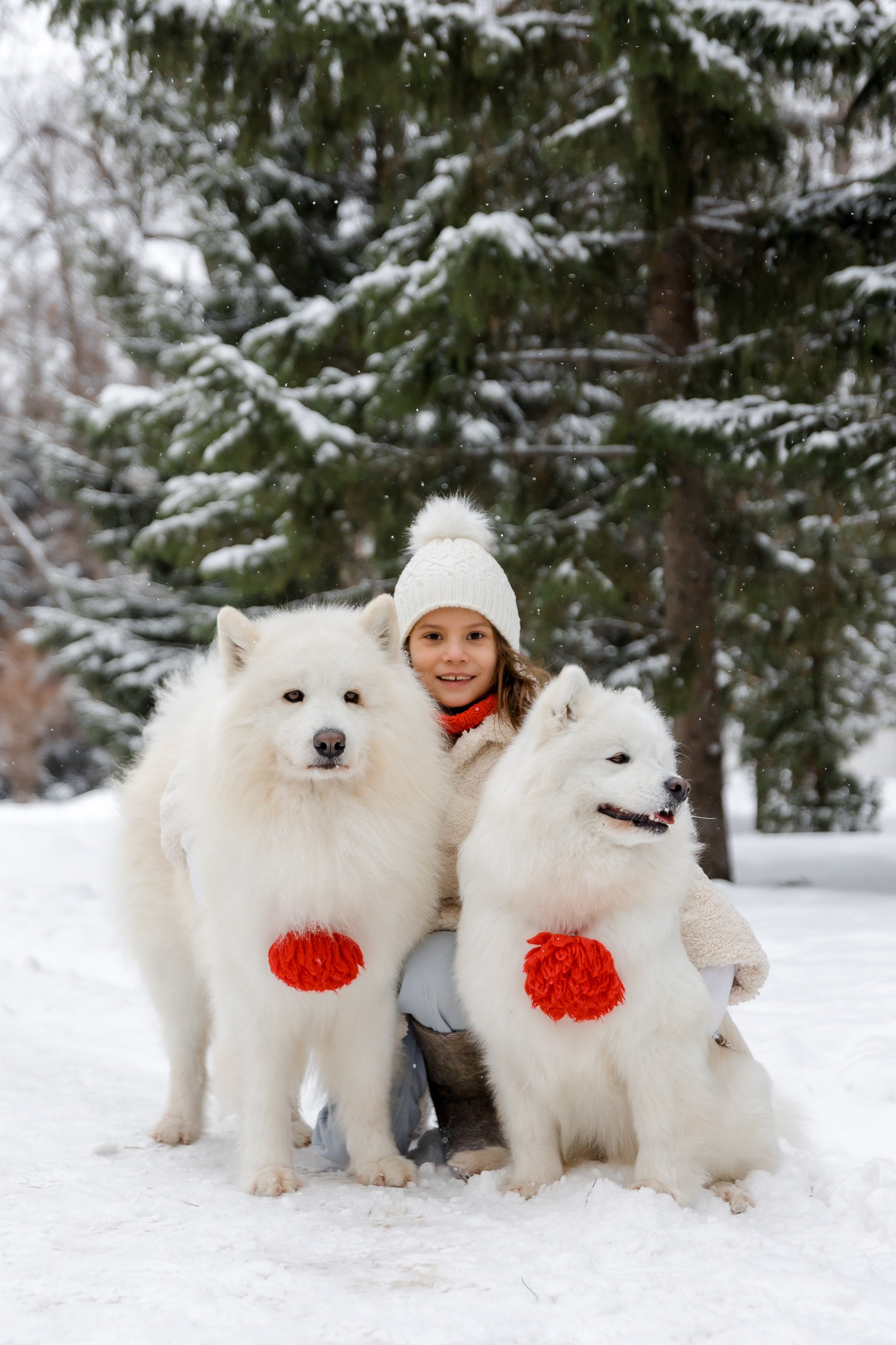 САМОЕДЫ. Свадебный и семейный фотограф Динар Гильмутдинов