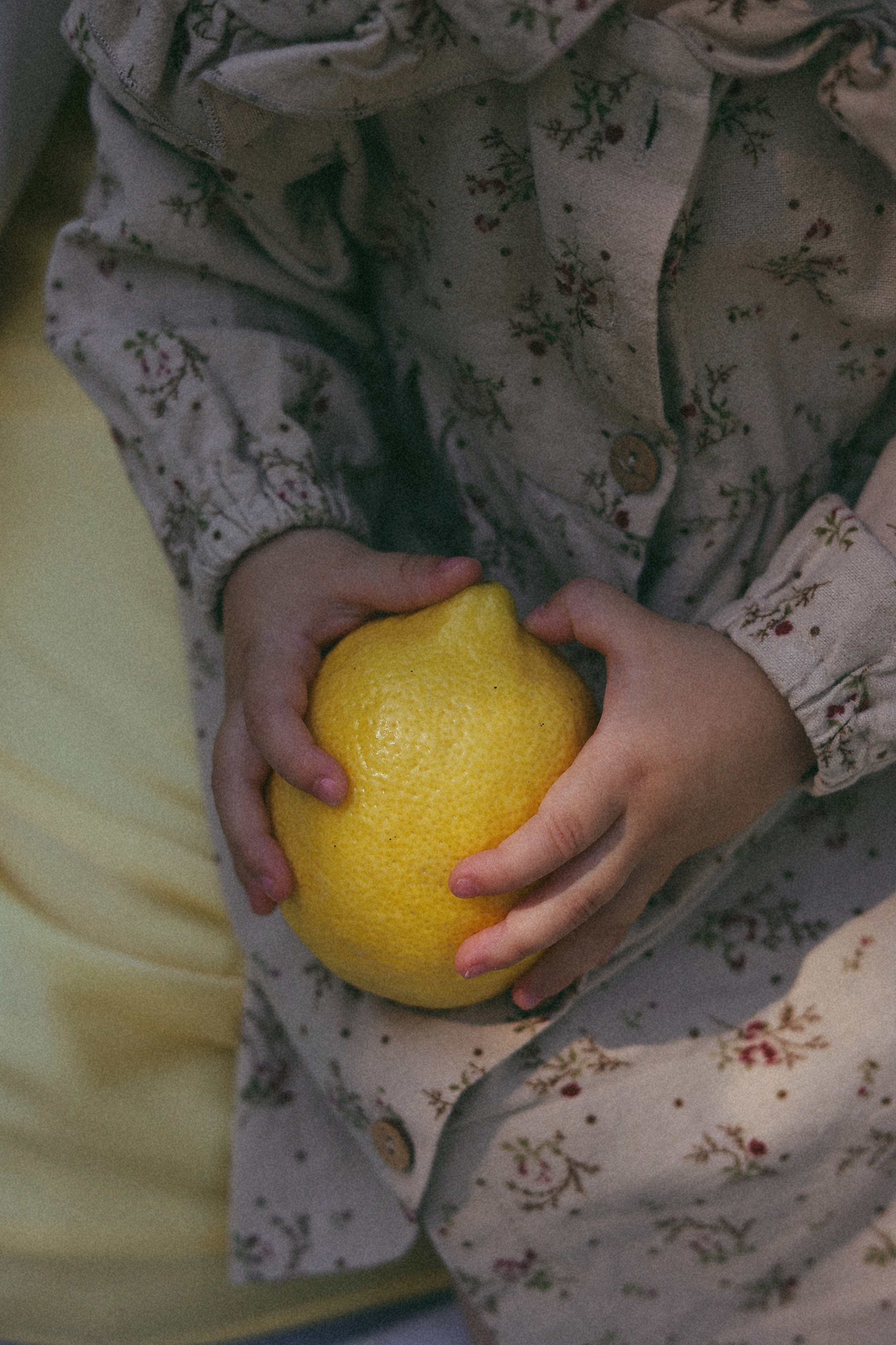 Highlights. Фотограф Майя Иванова