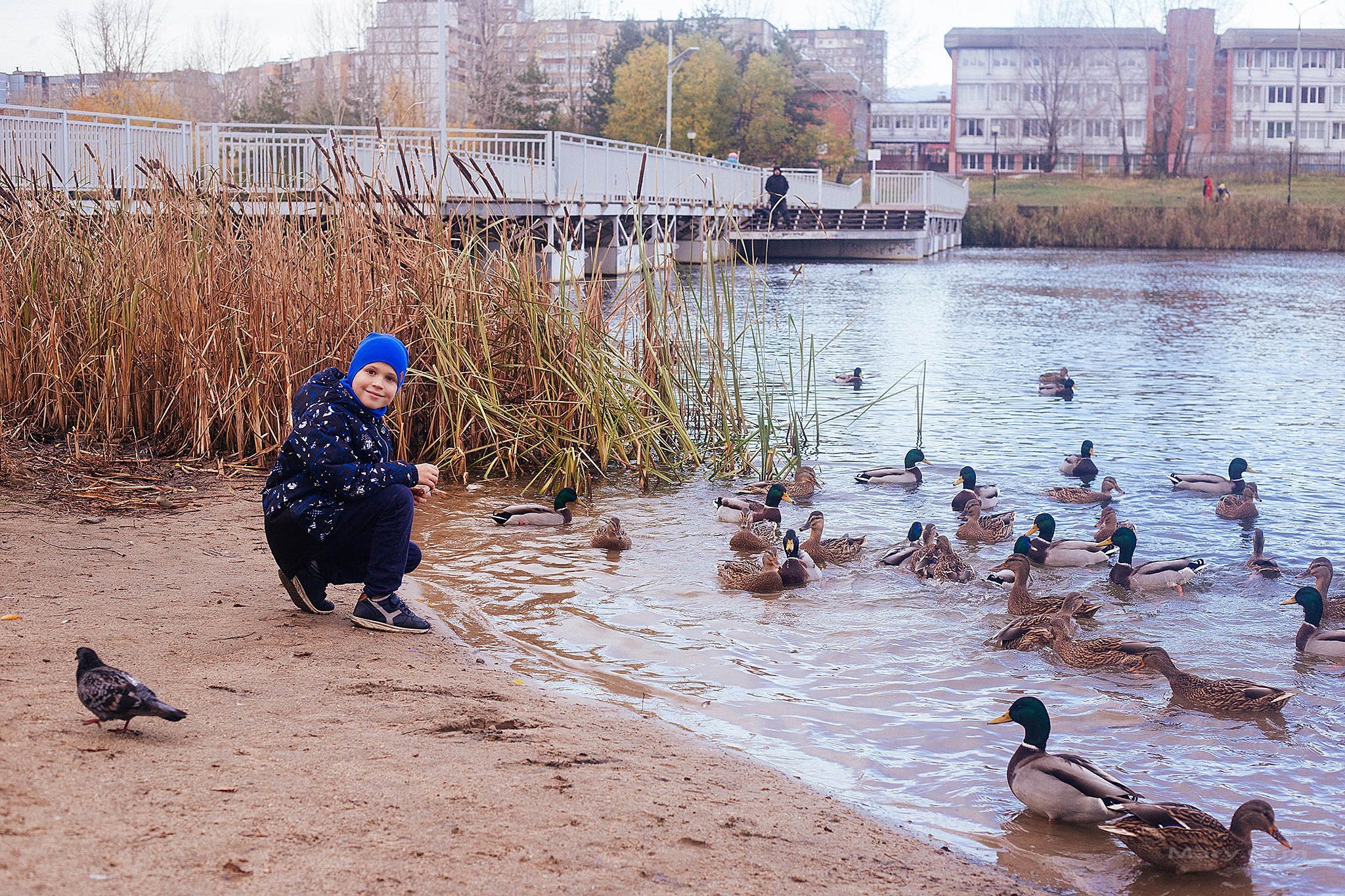 Осенняя фотопрогулка Дианы и Антона. Детский и семейный фотограф, фотограф мероприятий Нижний Новгород
