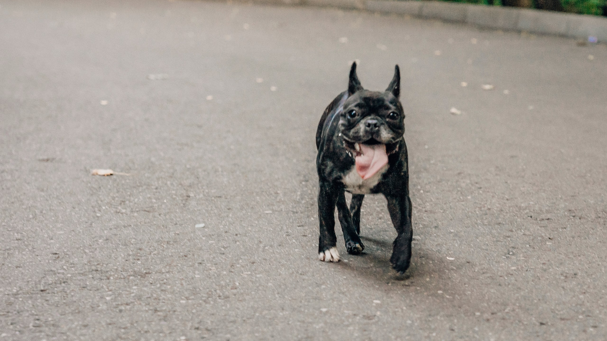 Пробежка RunForSun. Контент-фотограф в Москве Тима Забабурин