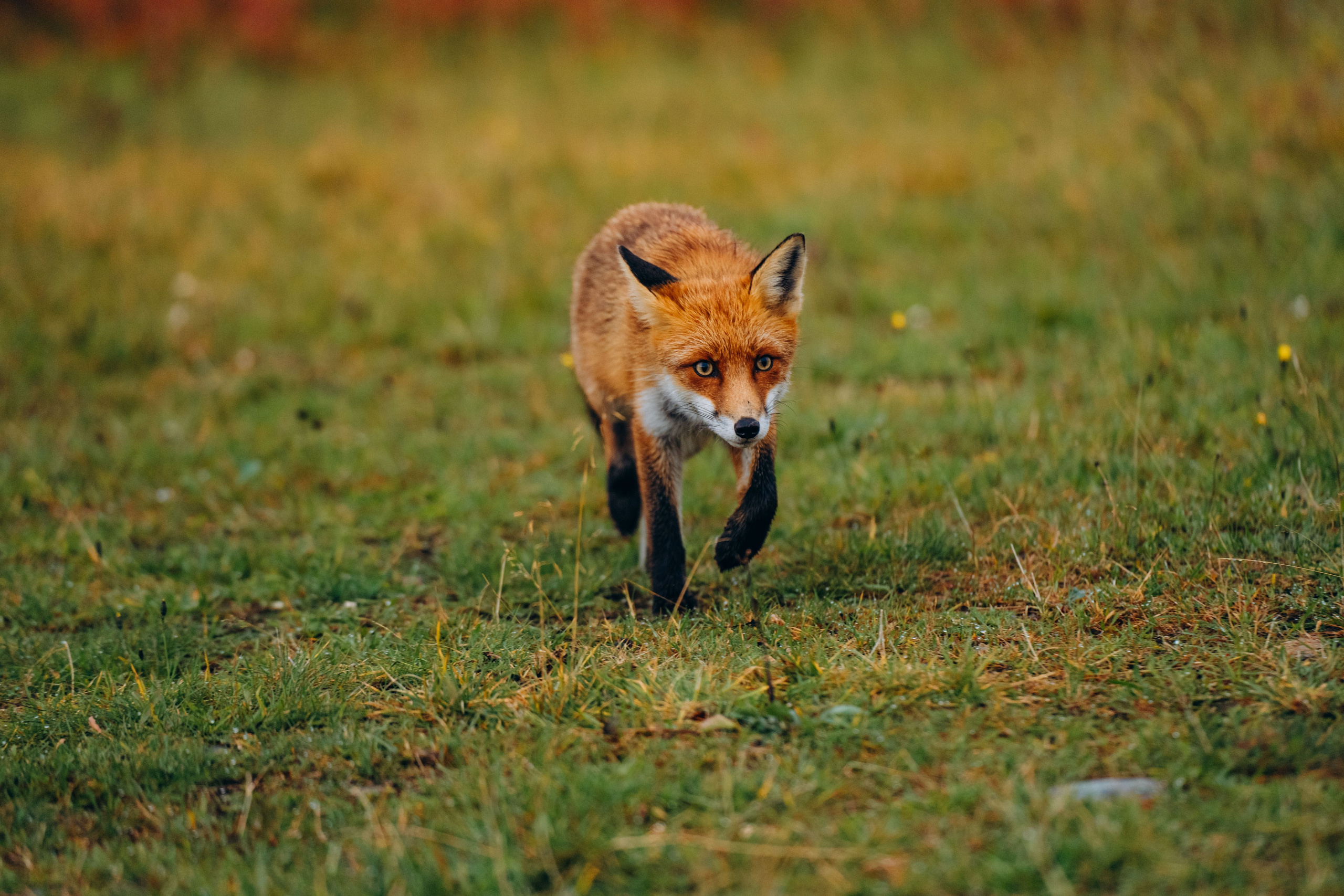 СЕВЕР. Event фотограф Степанова Александра