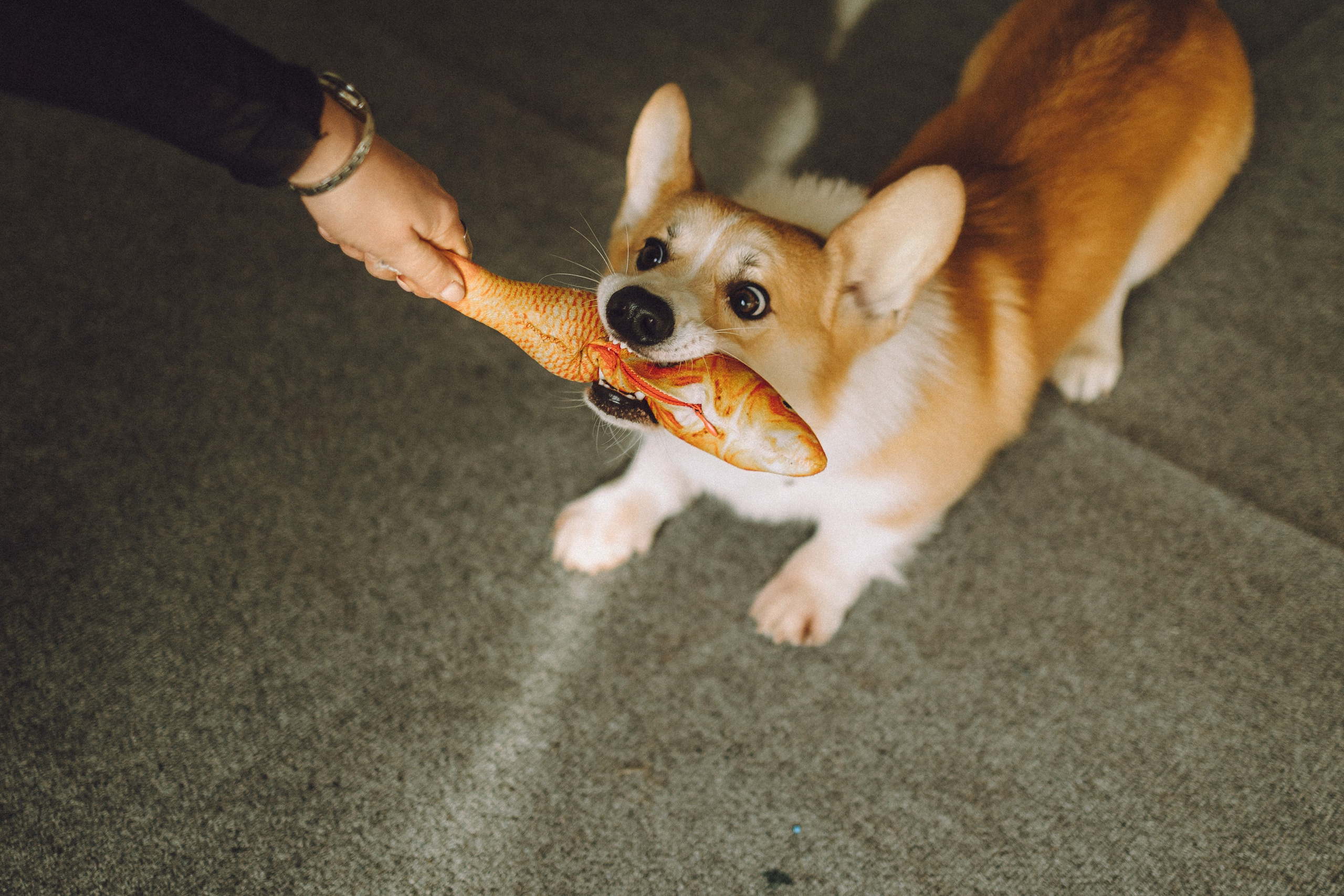 Наталья, Евгений и Мерлин