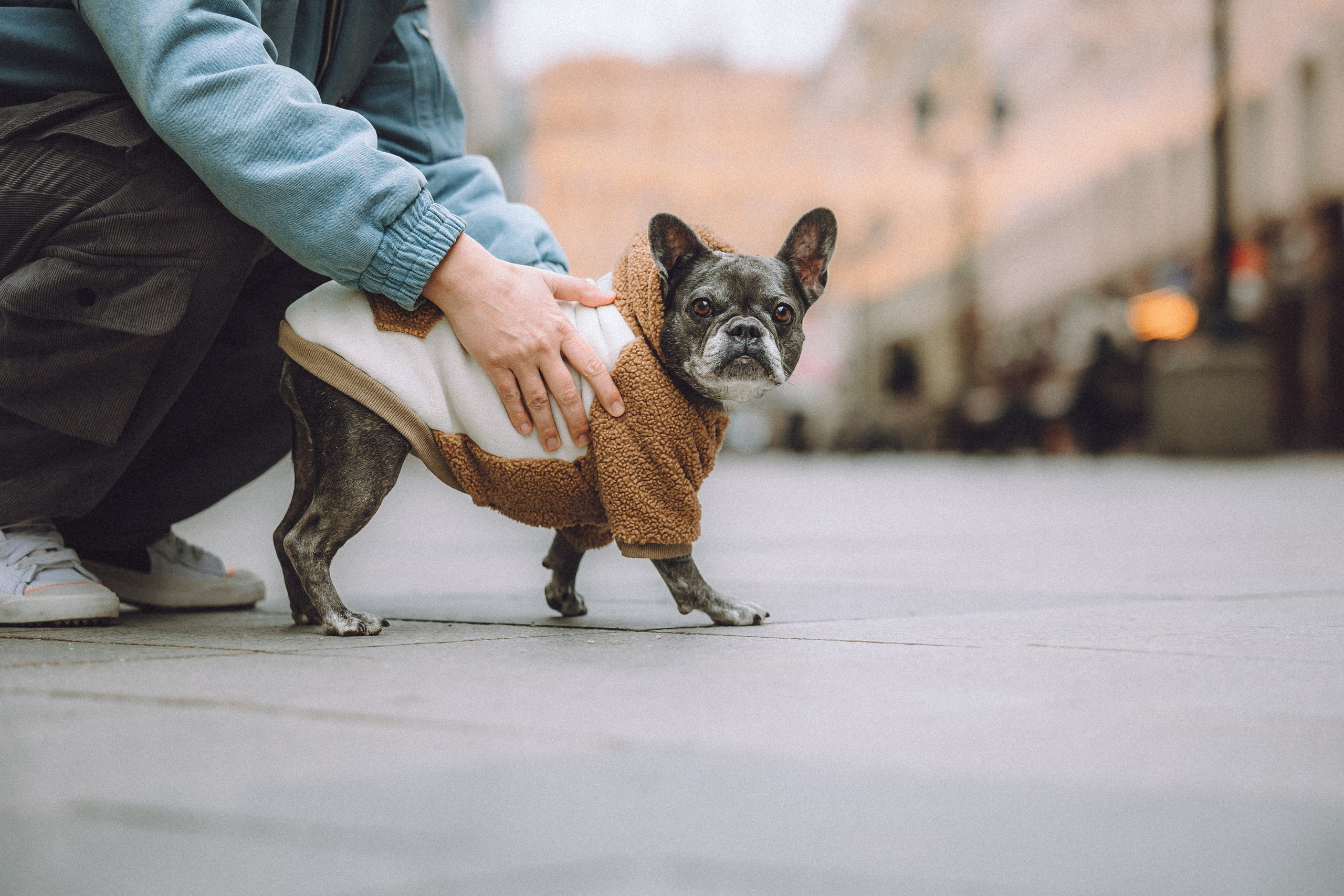 Юля, Вова и Моня