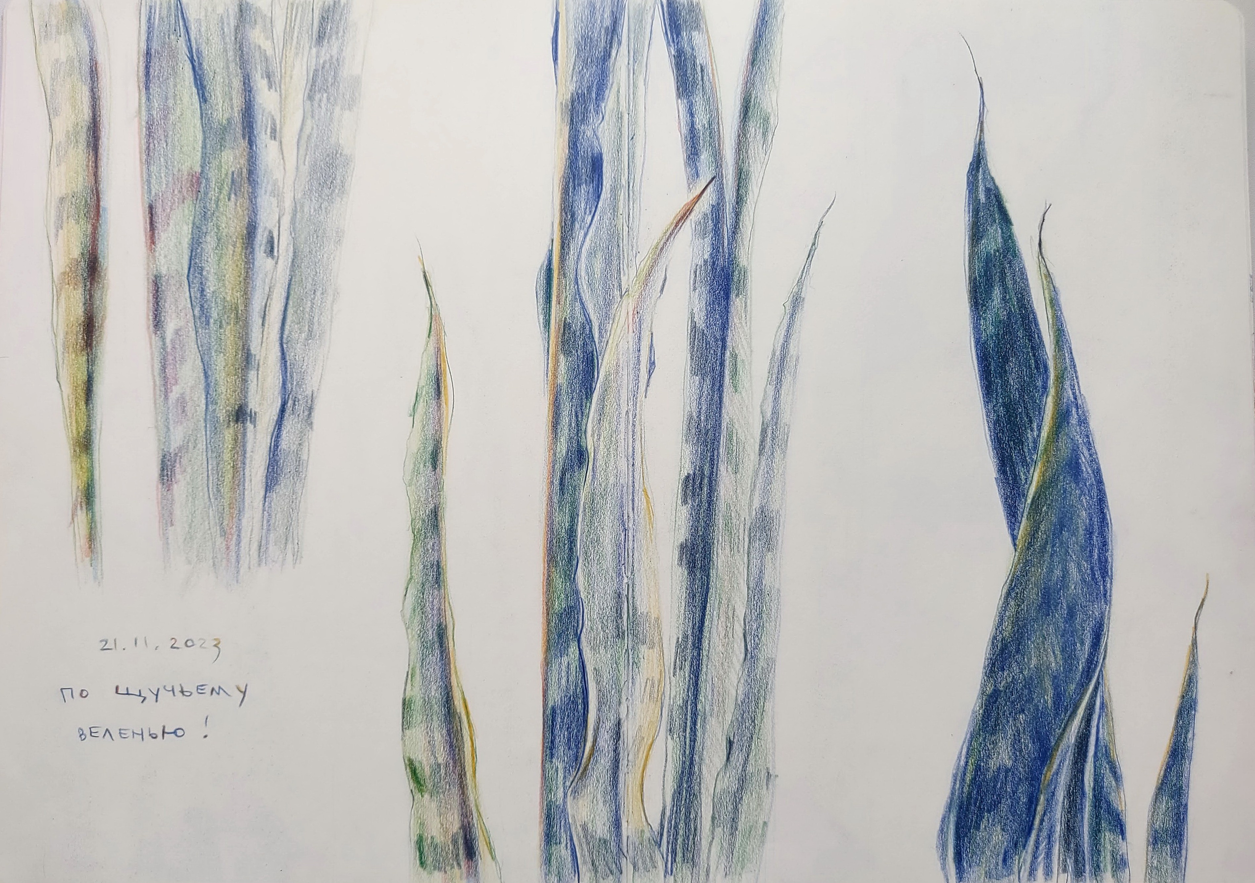 Quick Sketches. Alexander Manaenkov | Watercolor Artist from Siberia