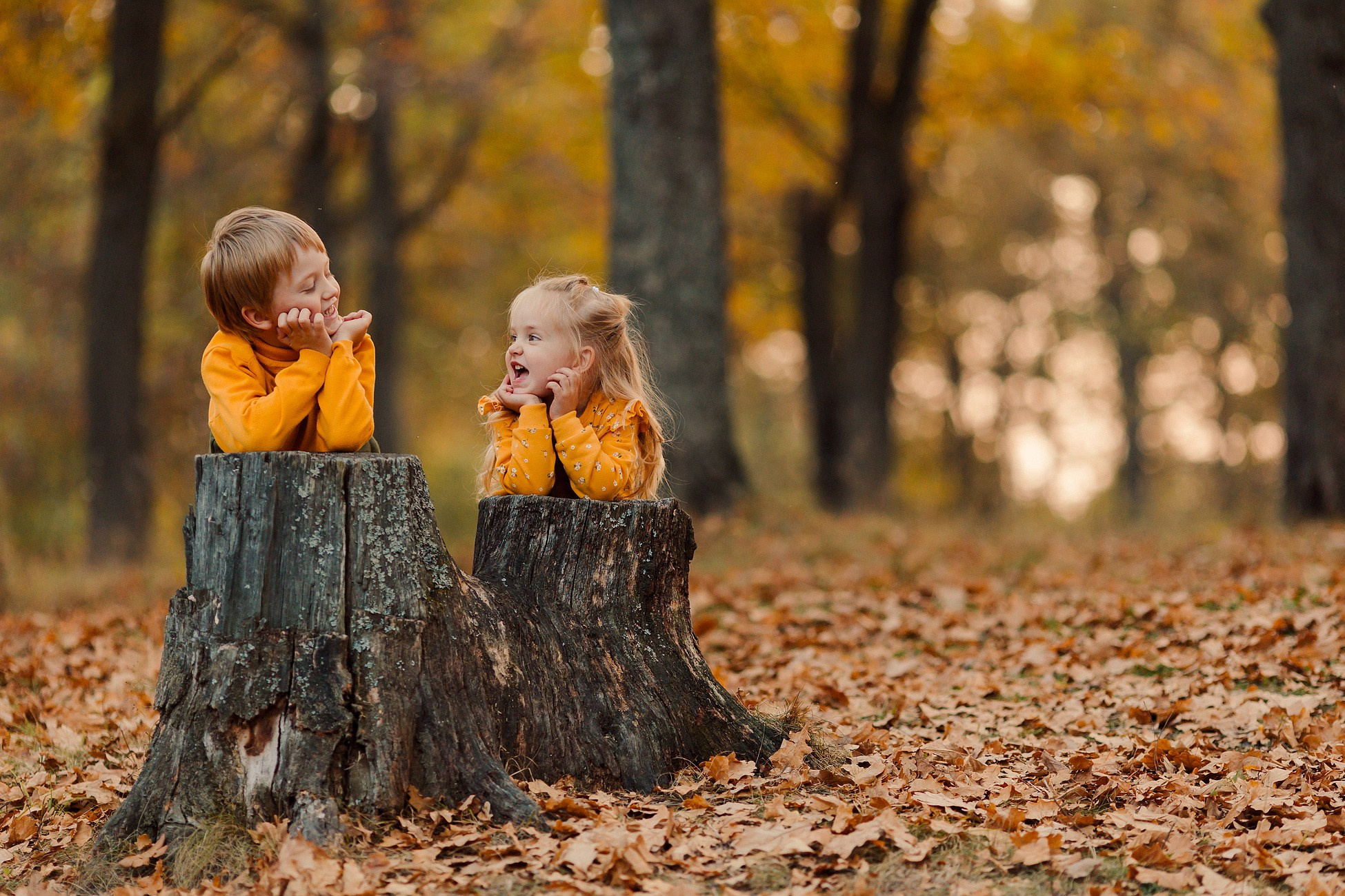 Осень в лесу. Семейный фотограф в Пензе Мария Левина