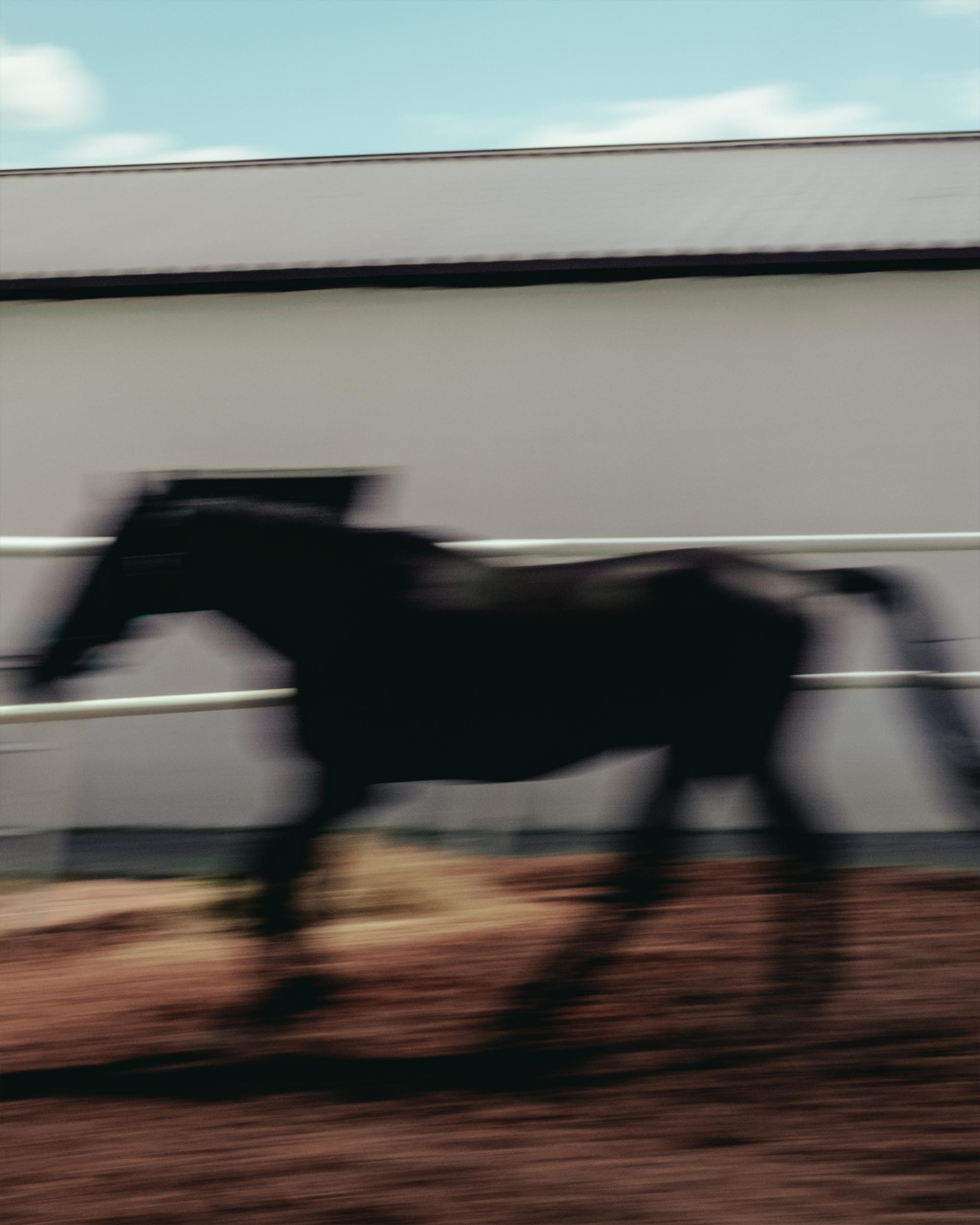 15&nbsp;— PRESTIGE