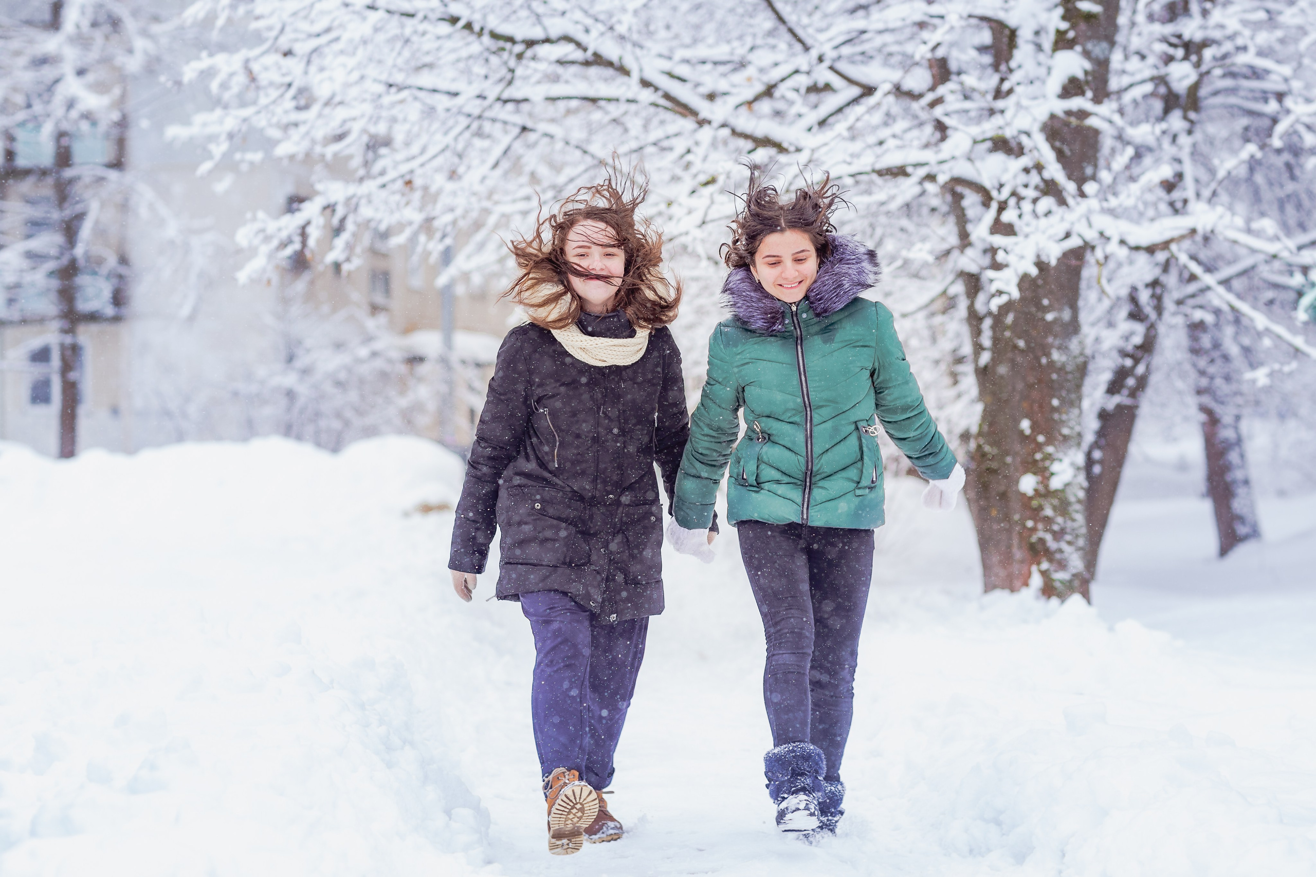 Зимняя прогулка