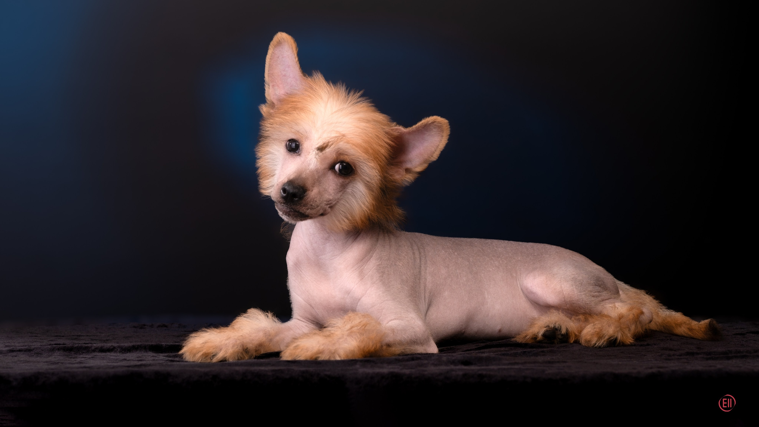 07.06.2025 Синяя фотосессия. Фотограф в Москве