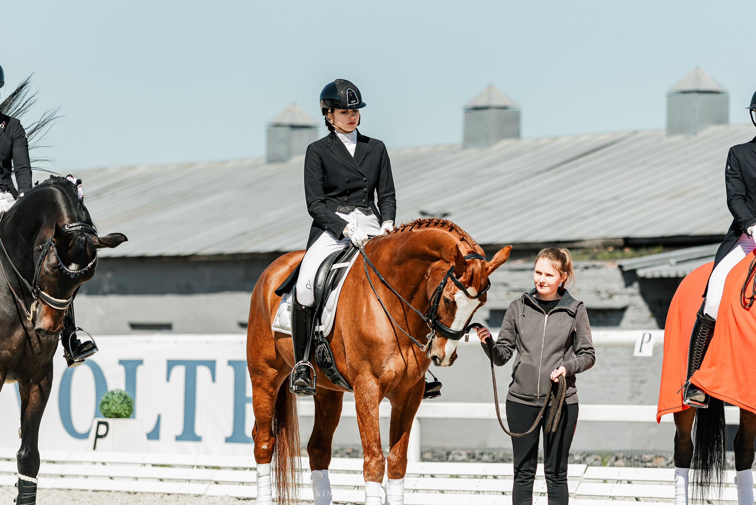 РЕПОРТАЖ МКК ВОЛЬТ «LA TULIPS». Конный фотограф Куракина Дарья • Фотосессии с лошадьми