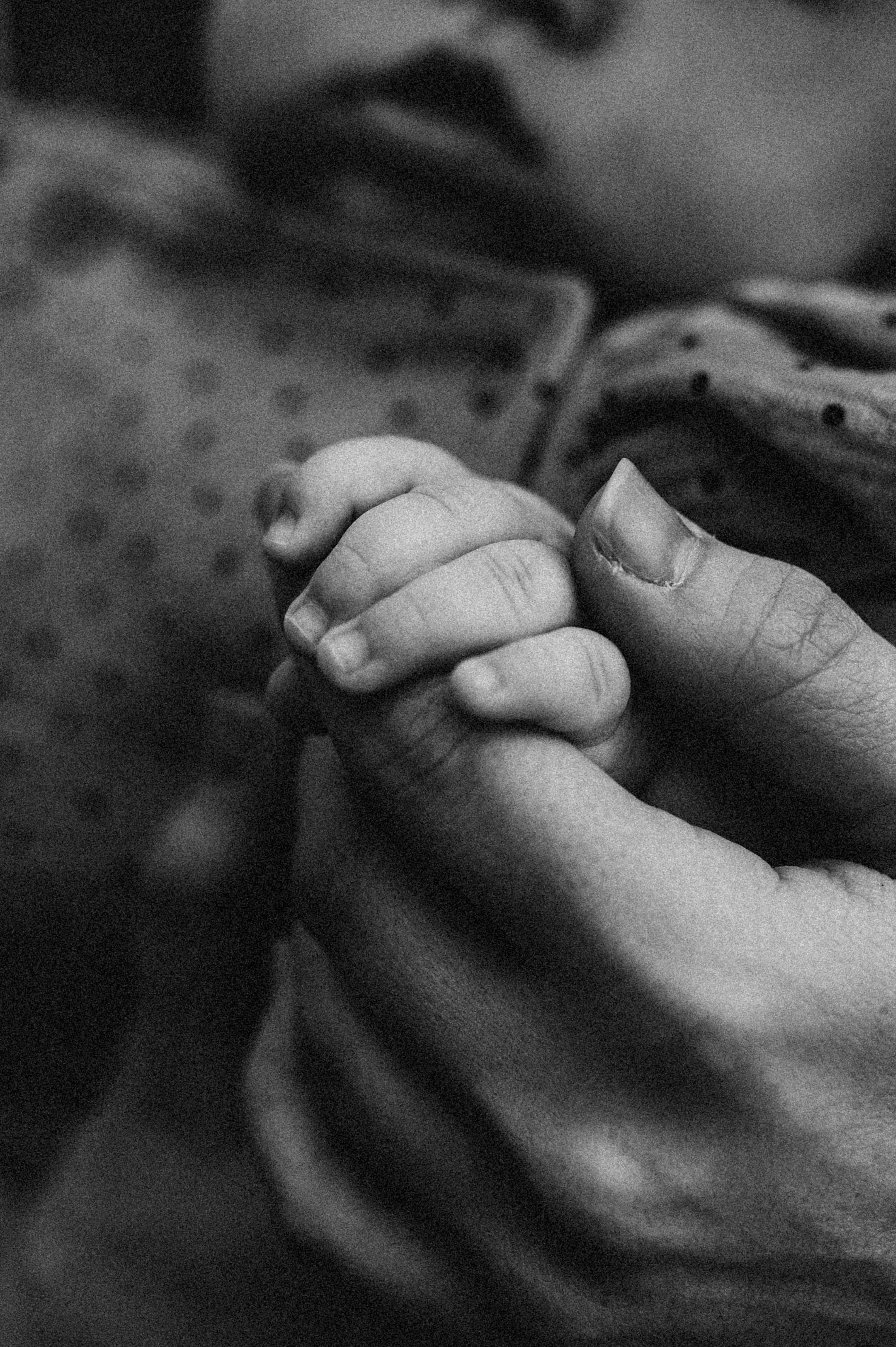 Катя и Еся. Свадебный и семейный фотограф в Чите Юлия Оранская