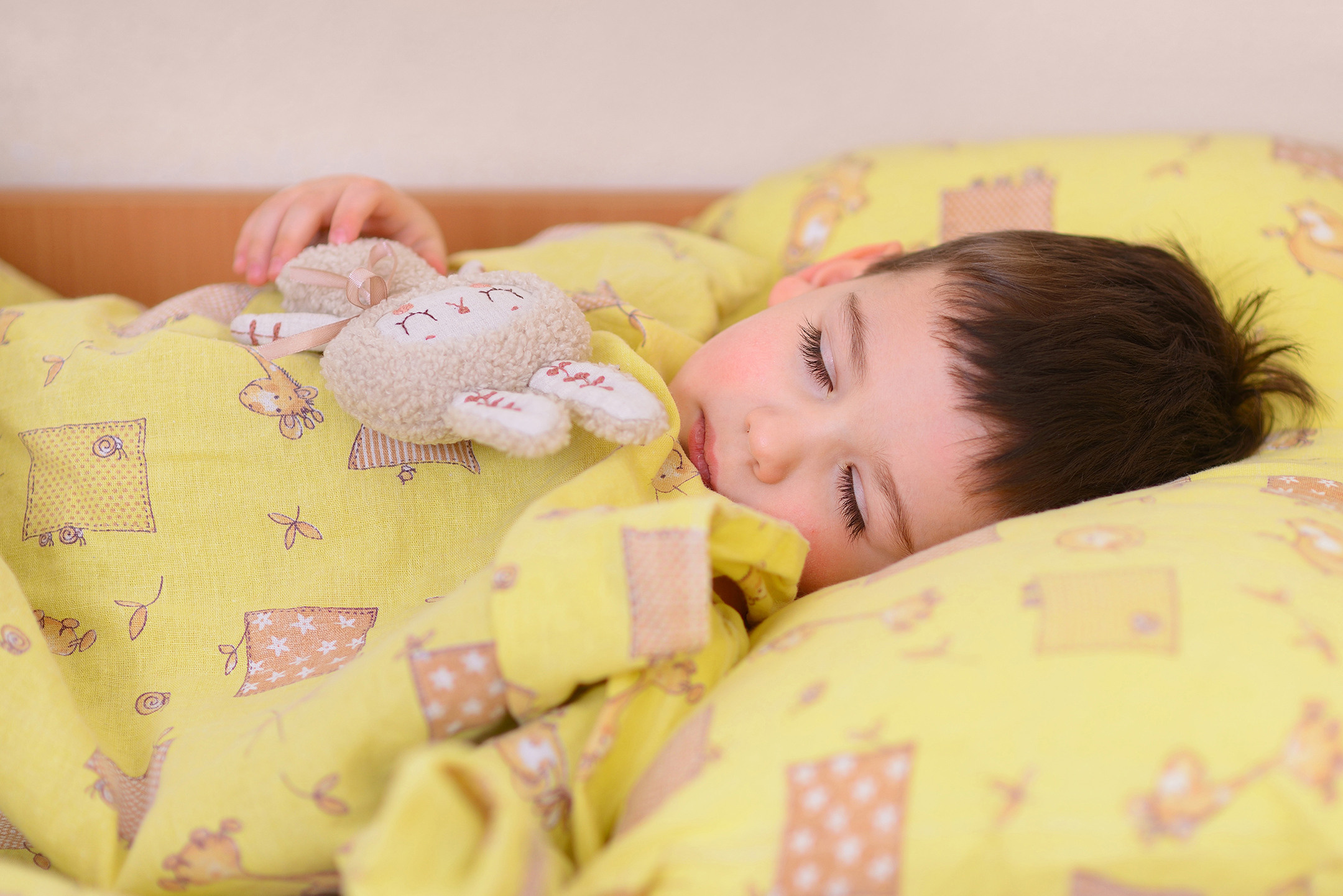 Портрет мальчика с мягкой игрушкой во время тихого часа в детском саду для выпускного фото альбома