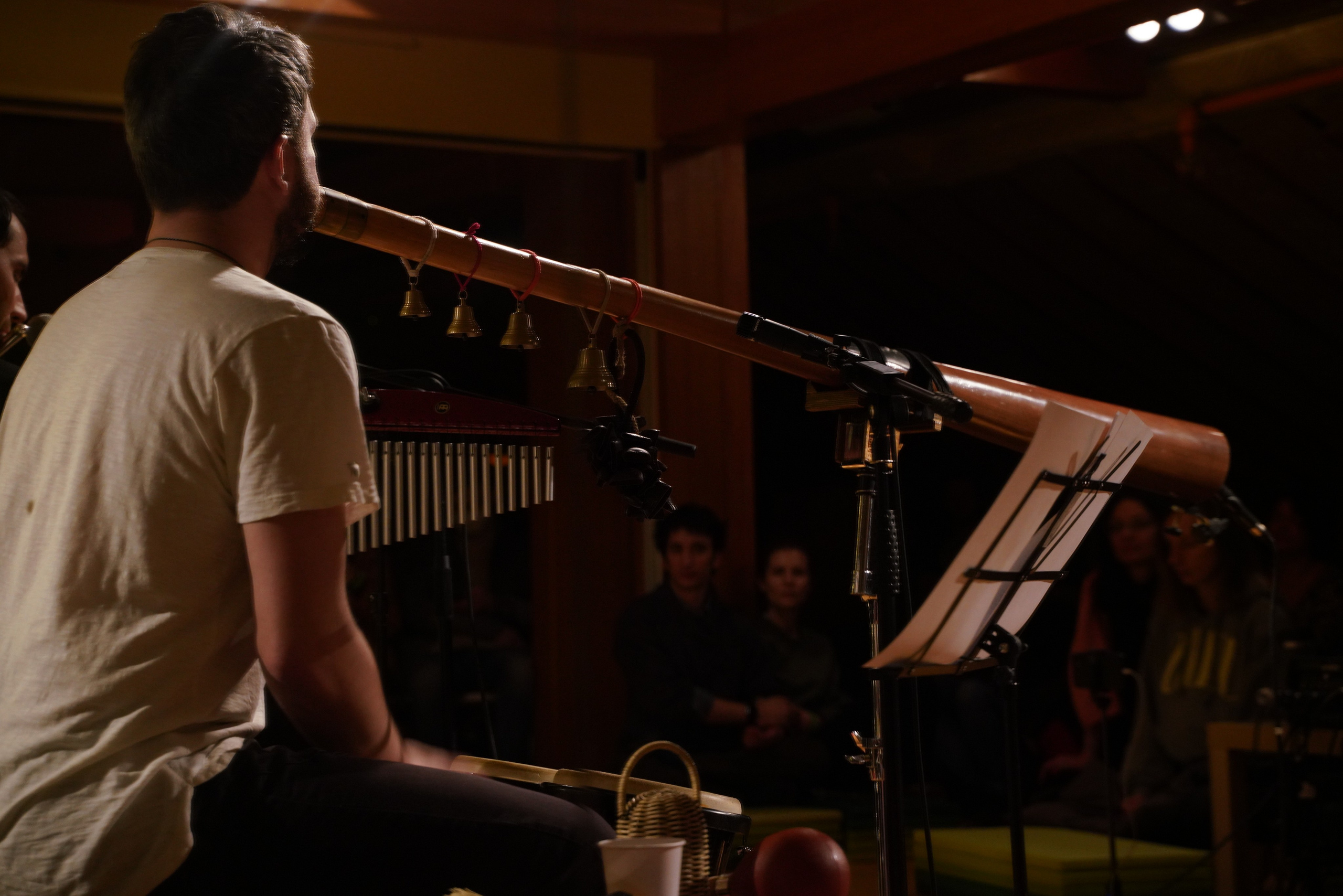 Концерт Forest jam project. Портретный и репортажный фотограф Наталья Горобец